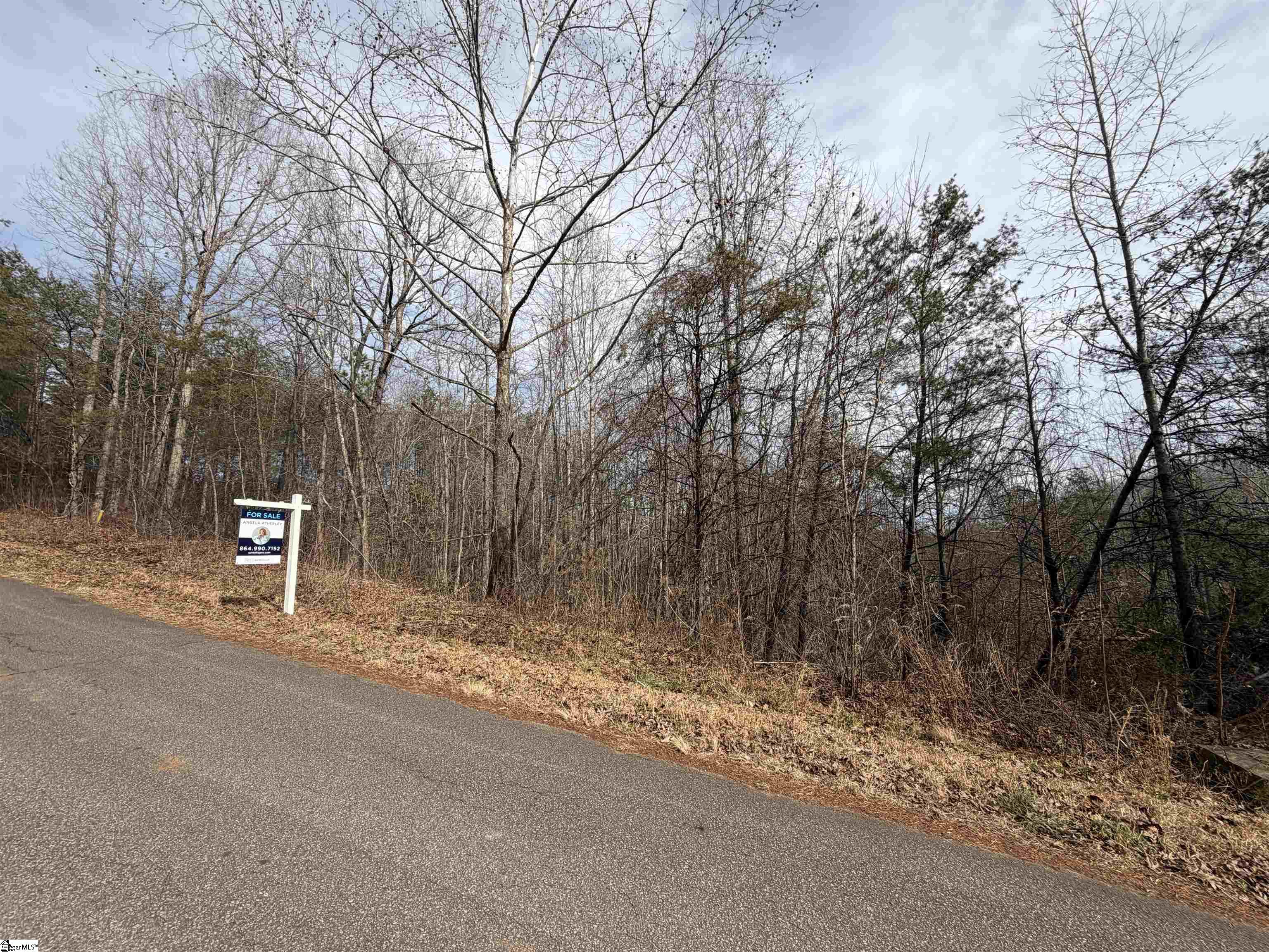 110 Sawmill Road, Unit 10 SAWBLADE RIDGE (ADDRESS WAS CHANGED RECENTLY) Marietta, SC 29661 - Photo 16 of 19