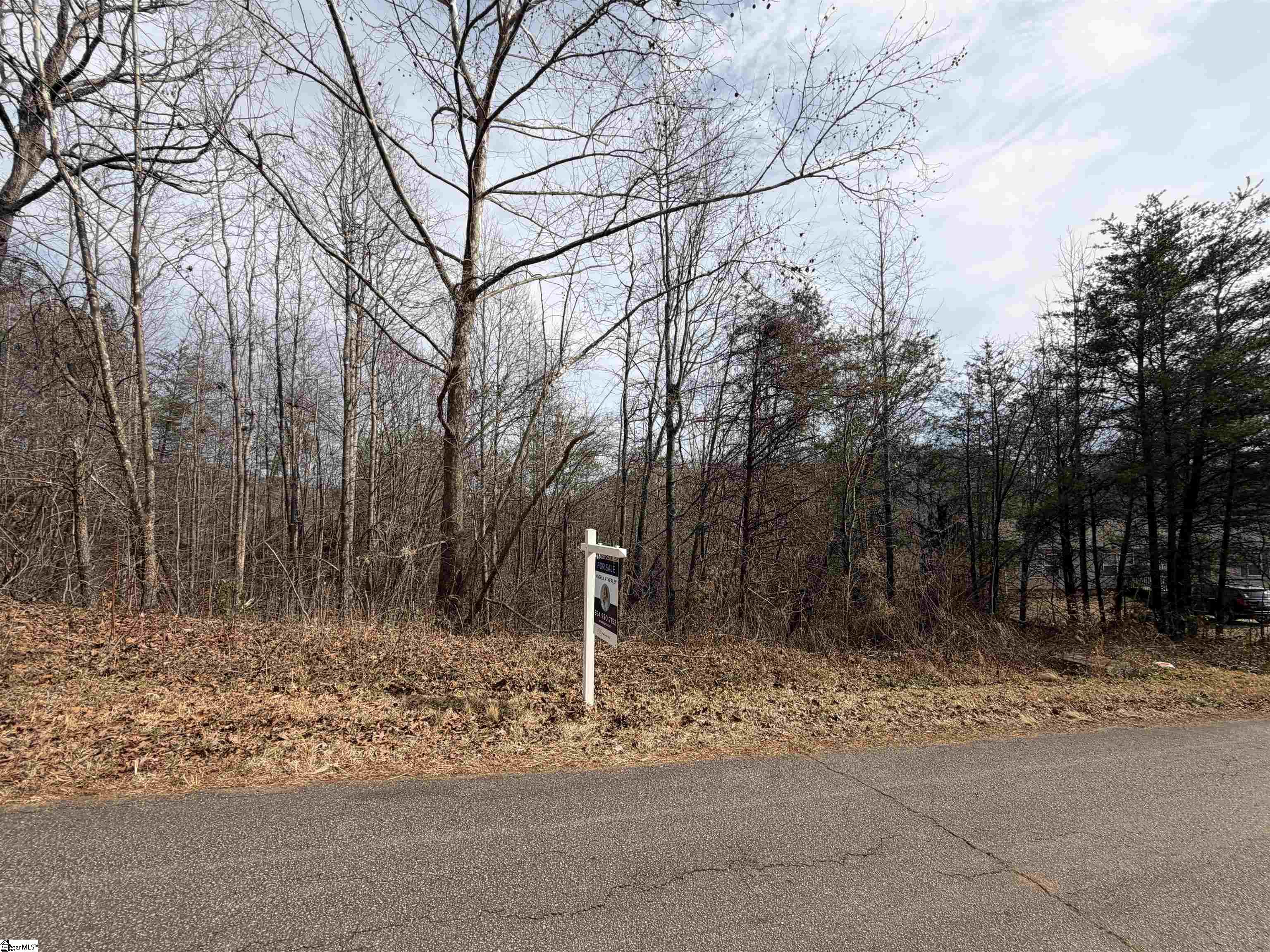 110 Sawmill Road, Unit 10 SAWBLADE RIDGE (ADDRESS WAS CHANGED RECENTLY) Marietta, SC 29661 - Photo 17 of 19