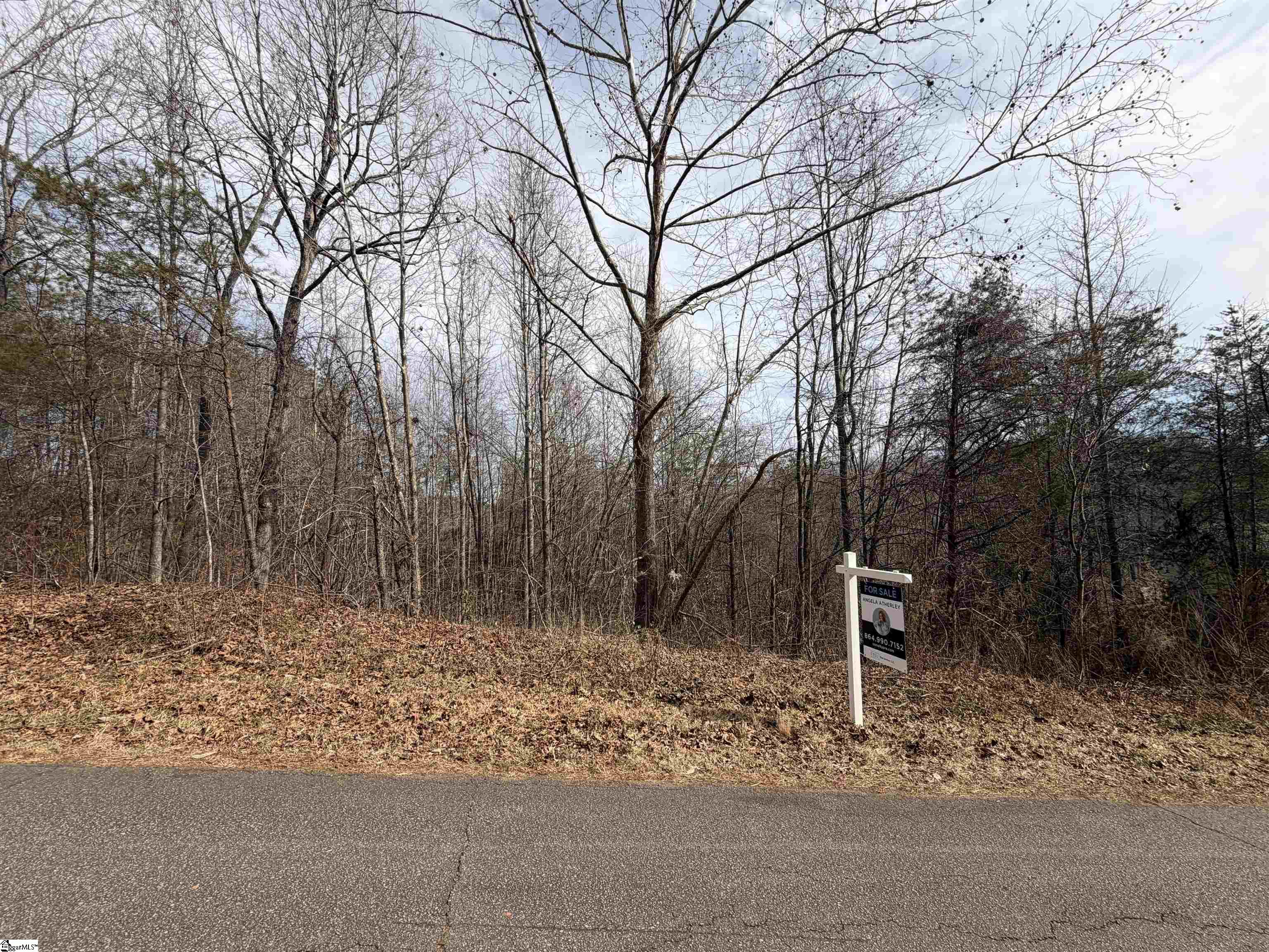 110 Sawmill Road, Unit 10 SAWBLADE RIDGE (ADDRESS WAS CHANGED RECENTLY) Marietta, SC 29661 - Photo 18 of 19