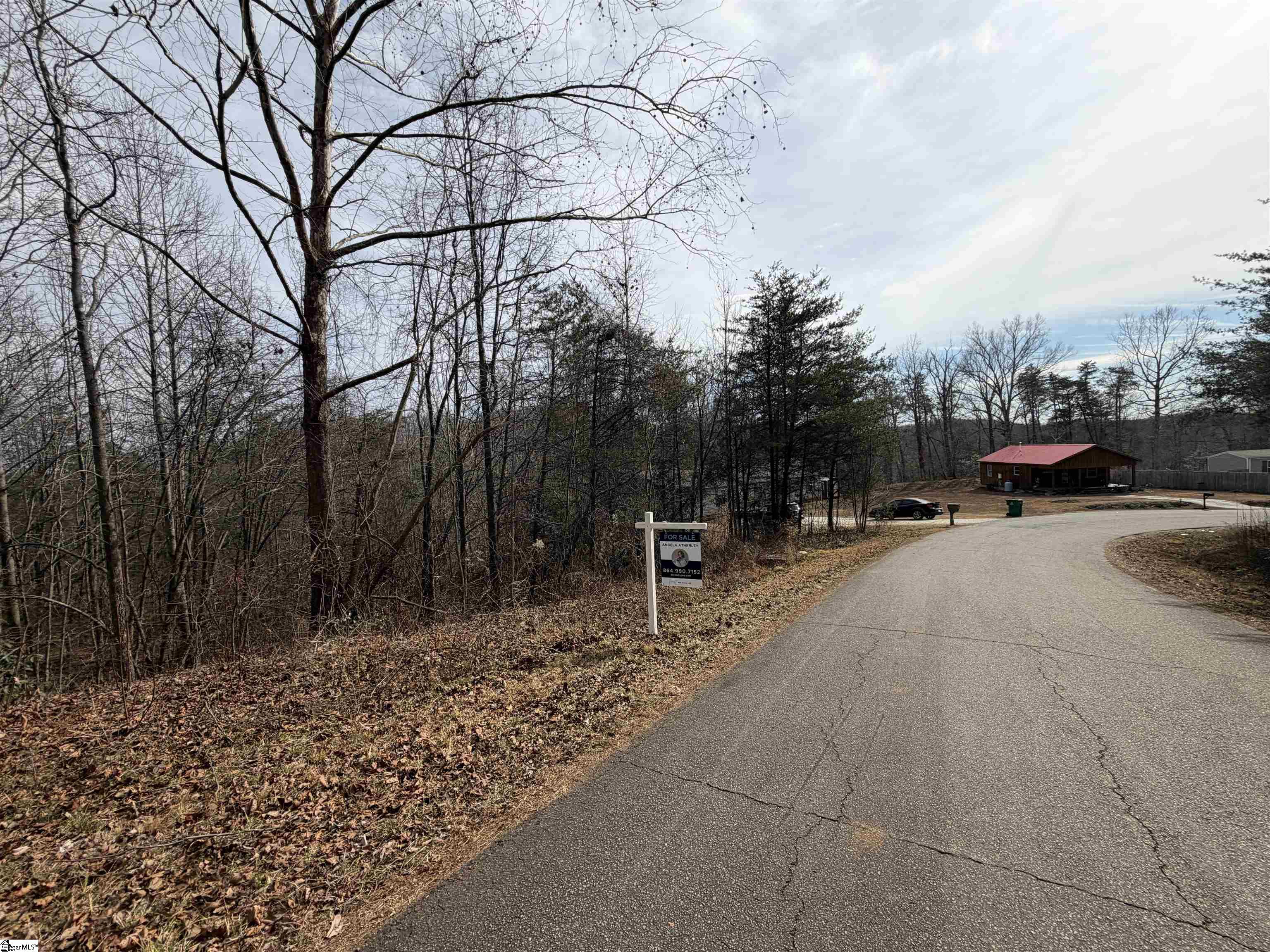 110 Sawmill Road, Unit 10 SAWBLADE RIDGE (ADDRESS WAS CHANGED RECENTLY) Marietta, SC 29661 - Photo 19 of 19