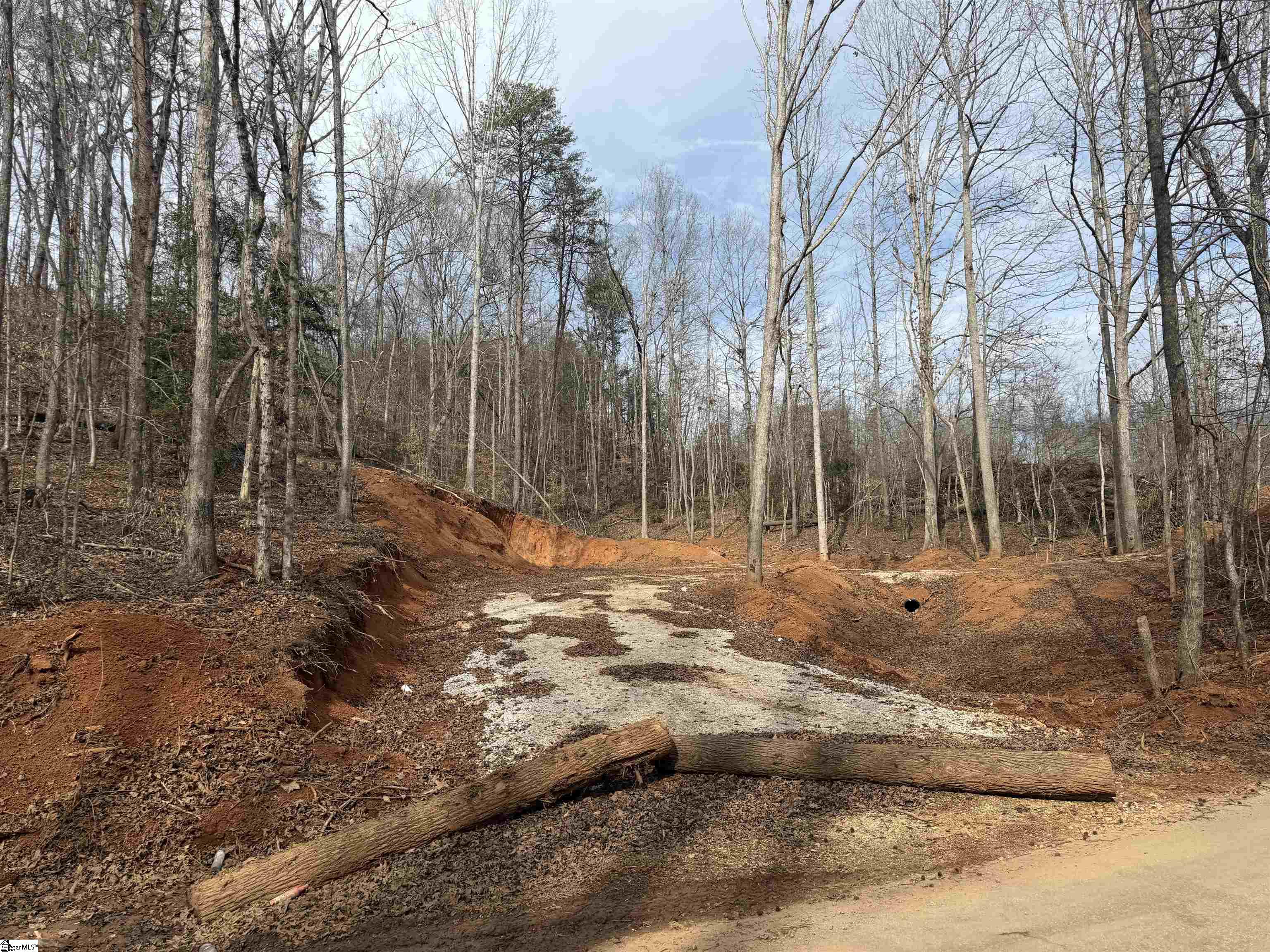 110 Sawmill Road, Unit 10 SAWBLADE RIDGE (ADDRESS WAS CHANGED RECENTLY) Marietta, SC 29661 - Photo 2 of 9