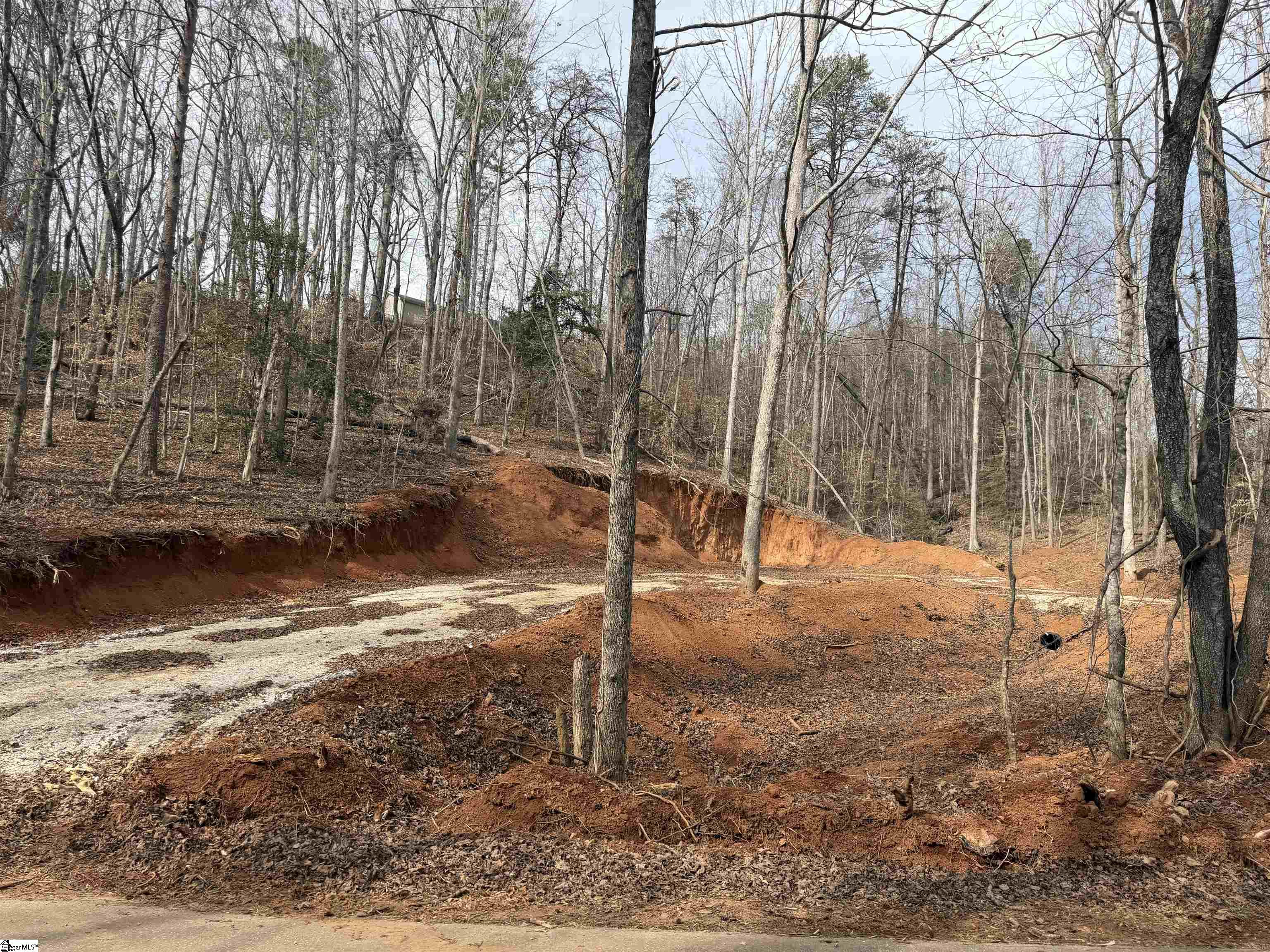 110 Sawmill Road, Unit 10 SAWBLADE RIDGE (ADDRESS WAS CHANGED RECENTLY) Marietta, SC 29661 - Photo 4 of 9