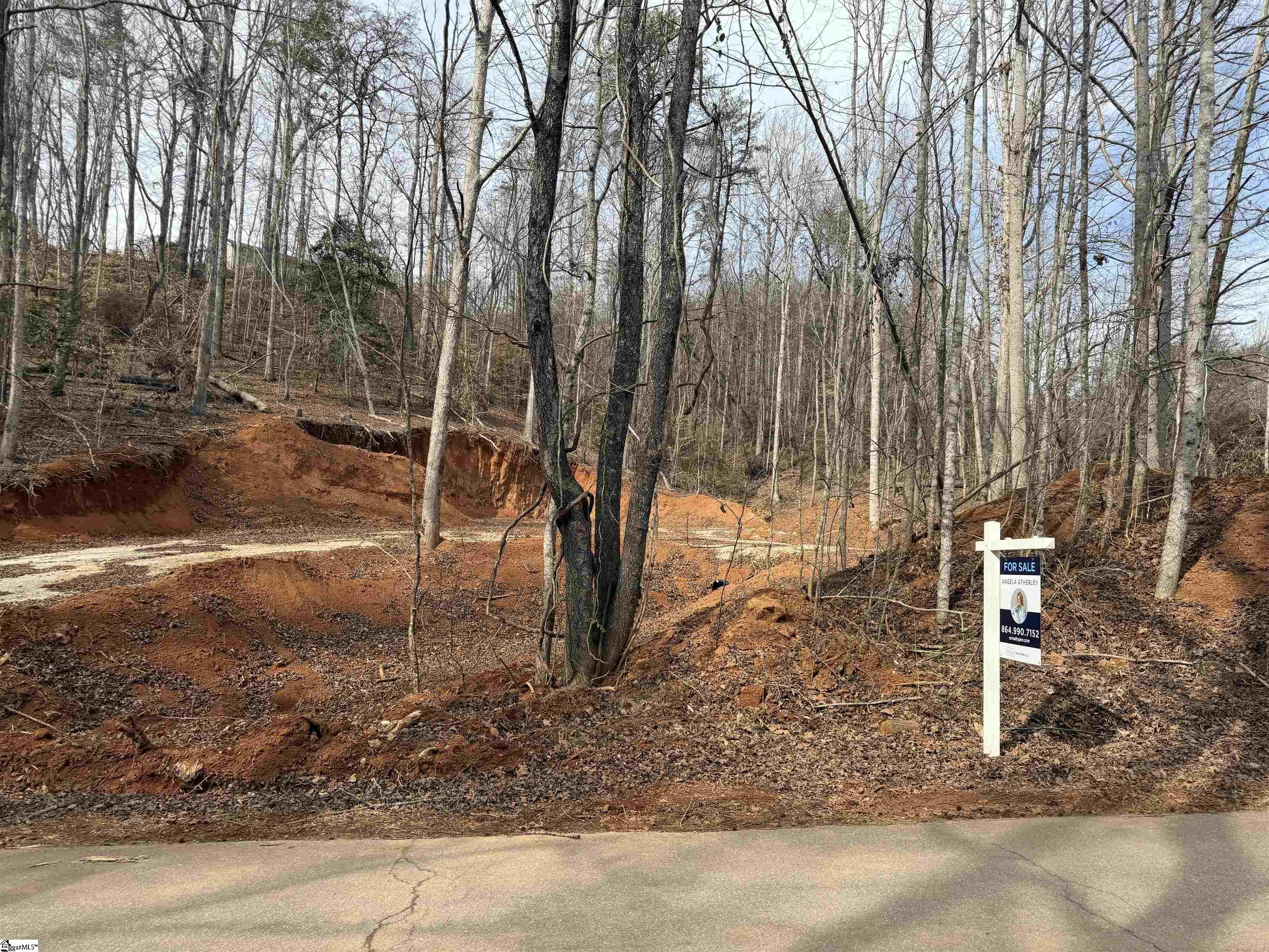 110 Sawmill Road, Unit 10 SAWBLADE RIDGE (ADDRESS WAS CHANGED RECENTLY) Marietta, SC 29661 - Photo 5 of 19