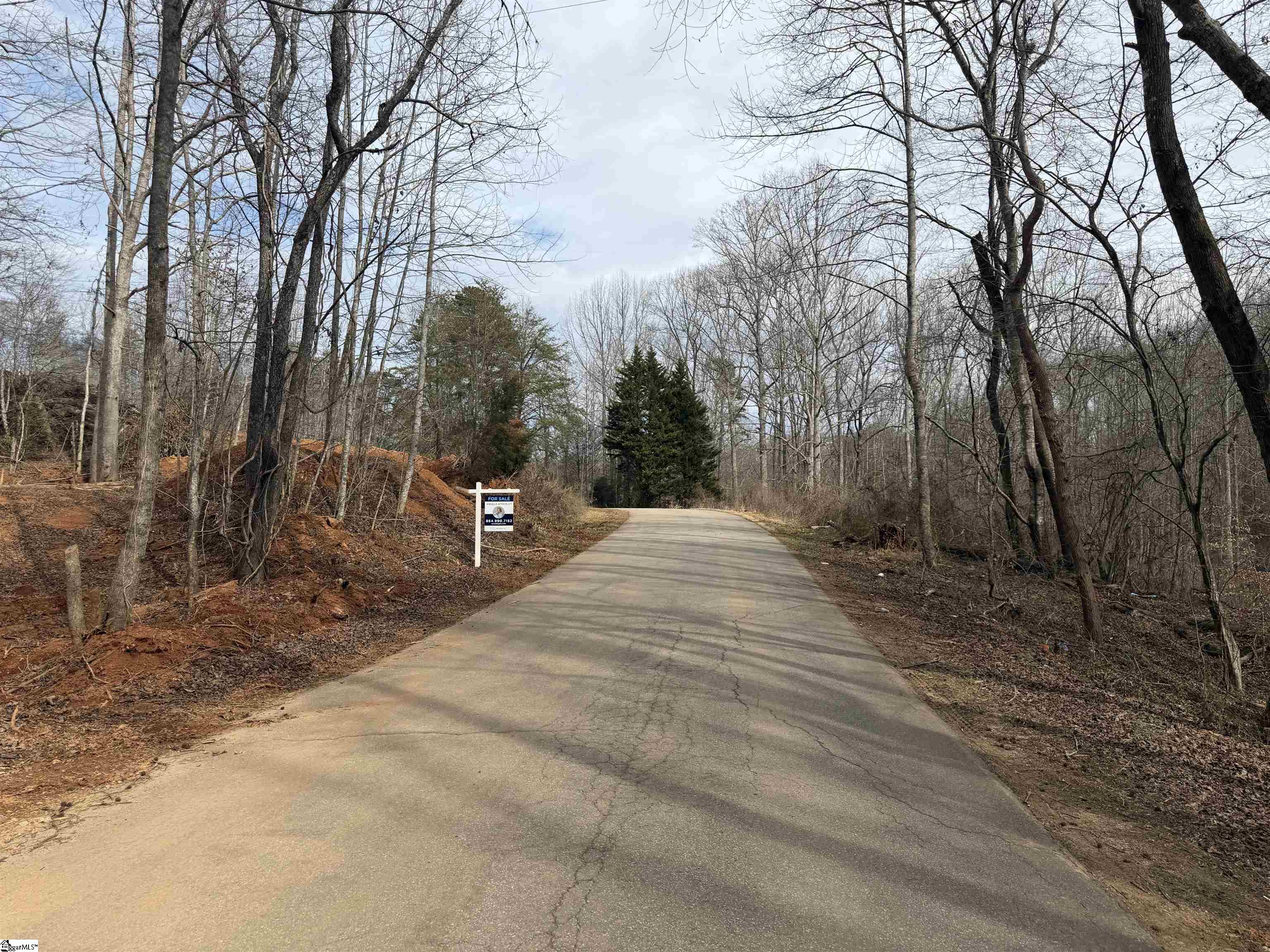 110 Sawmill Road, Unit 10 SAWBLADE RIDGE (ADDRESS WAS CHANGED RECENTLY) Marietta, SC 29661 - Photo 5 of 9