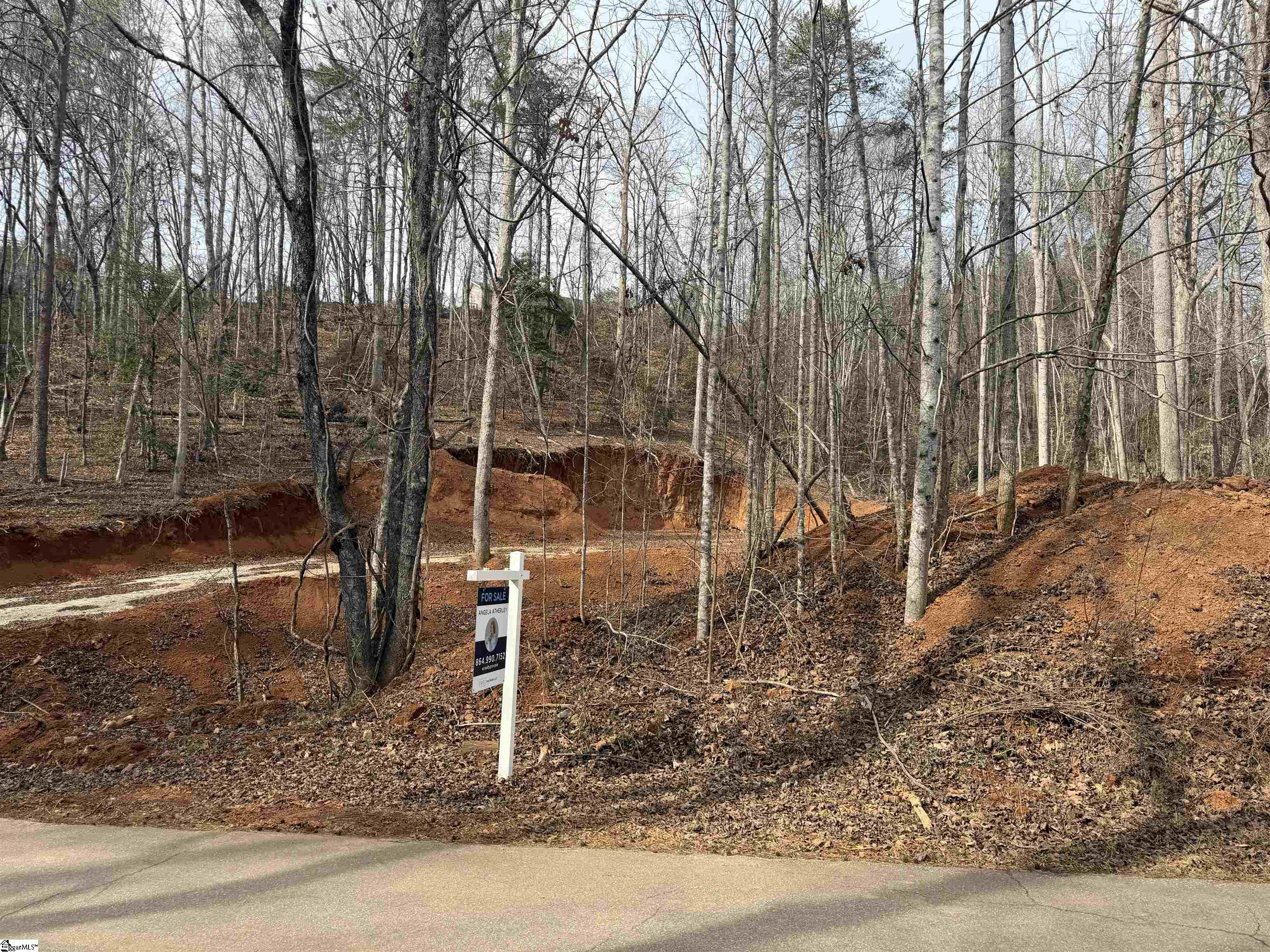 110 Sawmill Road, Unit 10 SAWBLADE RIDGE (ADDRESS WAS CHANGED RECENTLY) Marietta, SC 29661 - Photo 6 of 19