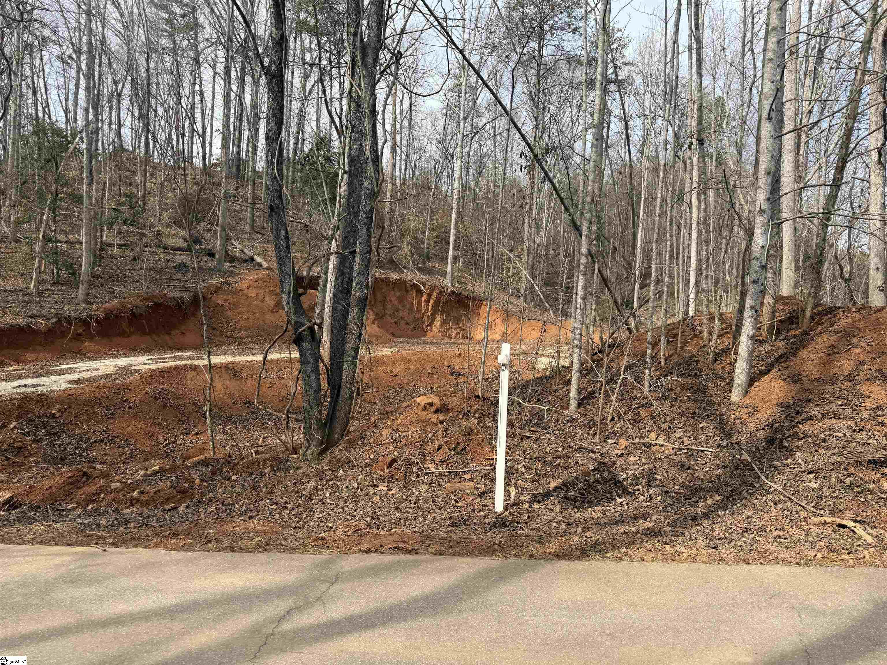 110 Sawmill Road, Unit 10 SAWBLADE RIDGE (ADDRESS WAS CHANGED RECENTLY) Marietta, SC 29661 - Photo 9 of 9