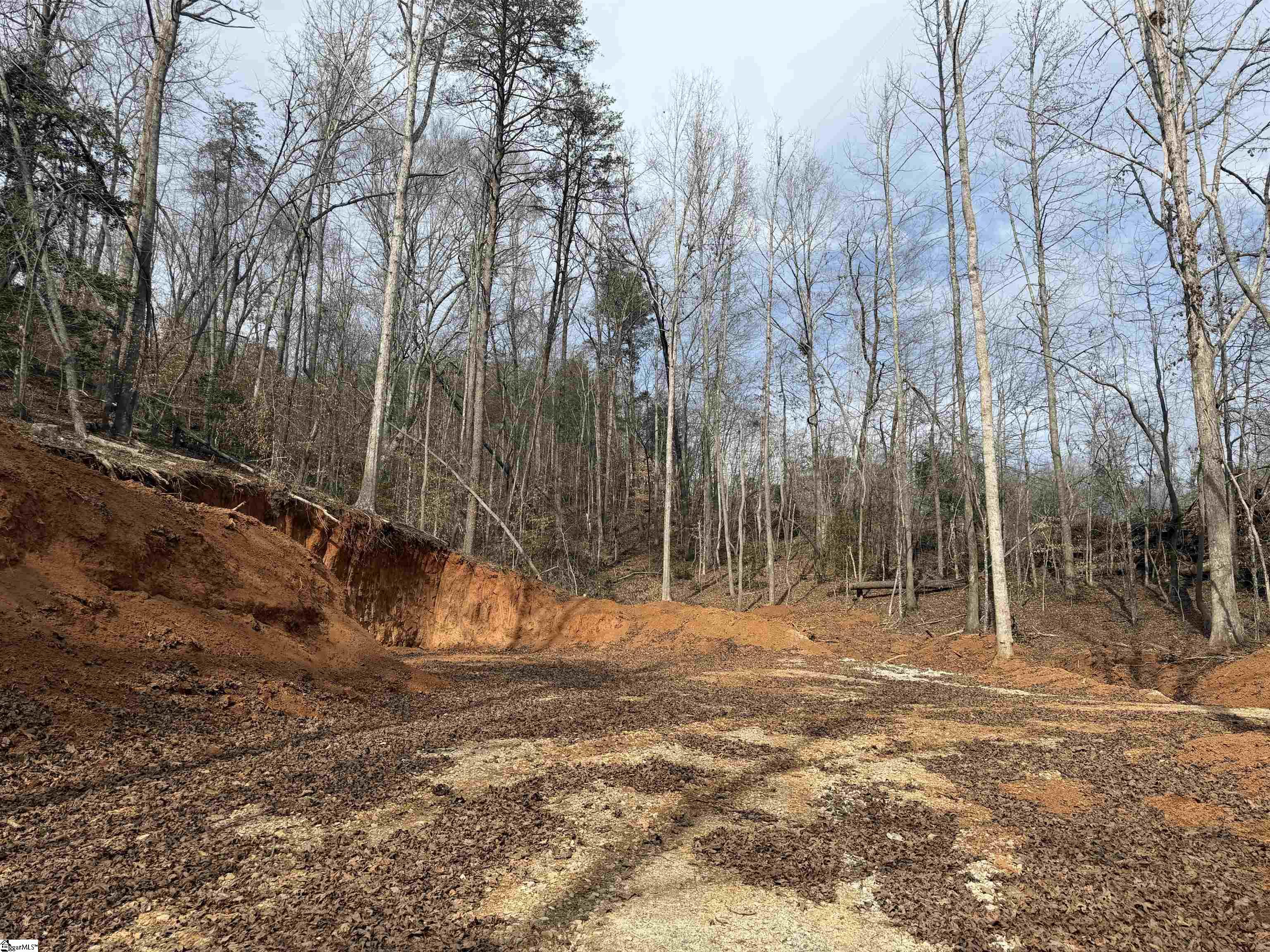 110 Sawmill Road, Unit 10 SAWBLADE RIDGE (ADDRESS WAS CHANGED RECENTLY) Marietta, SC 29661 - Photo 9 of 19