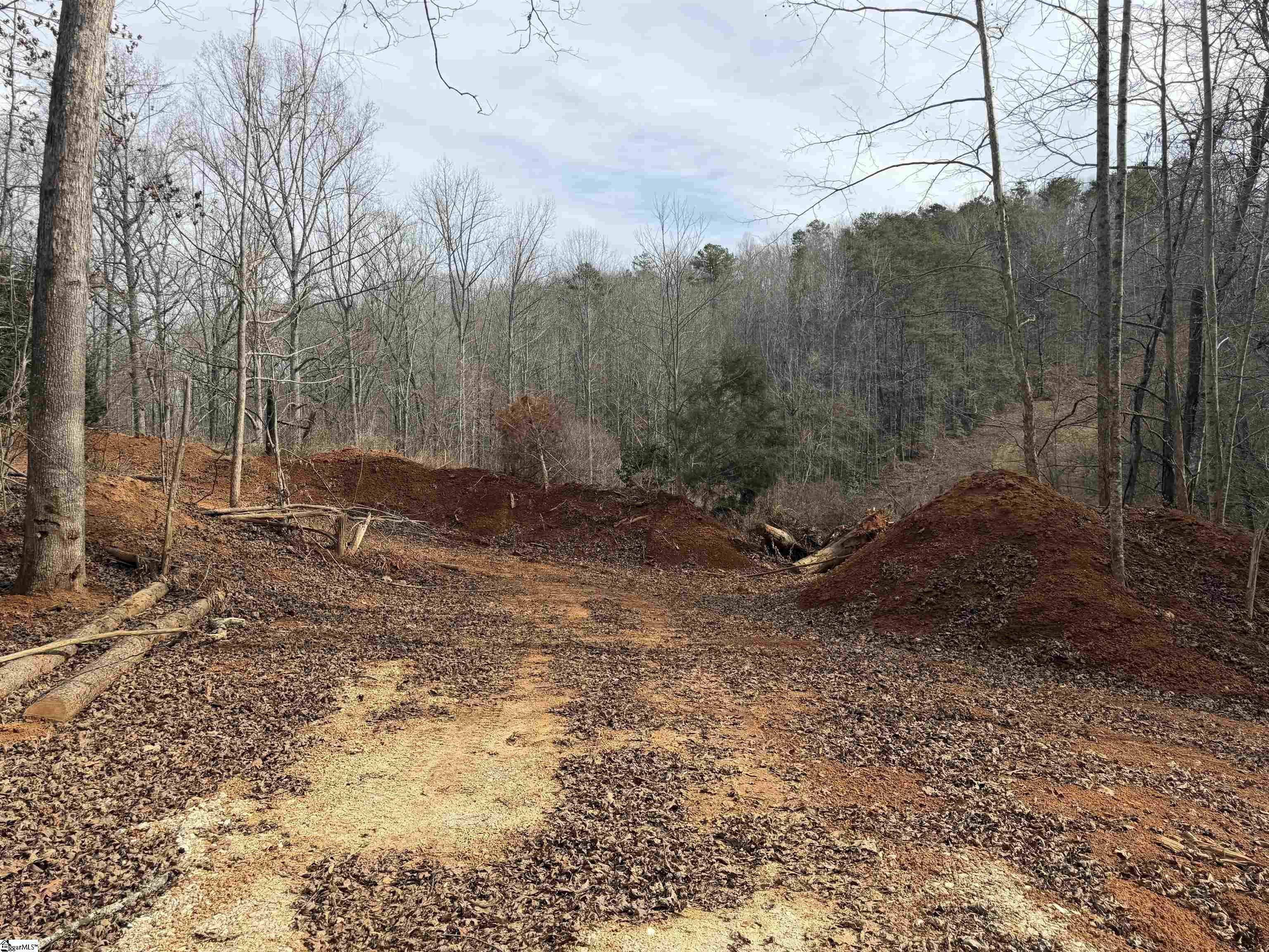 110 Sawmill Road, Unit 10 SAWBLADE RIDGE (ADDRESS WAS CHANGED RECENTLY) Marietta, SC 29661 - Photo 10 of 19