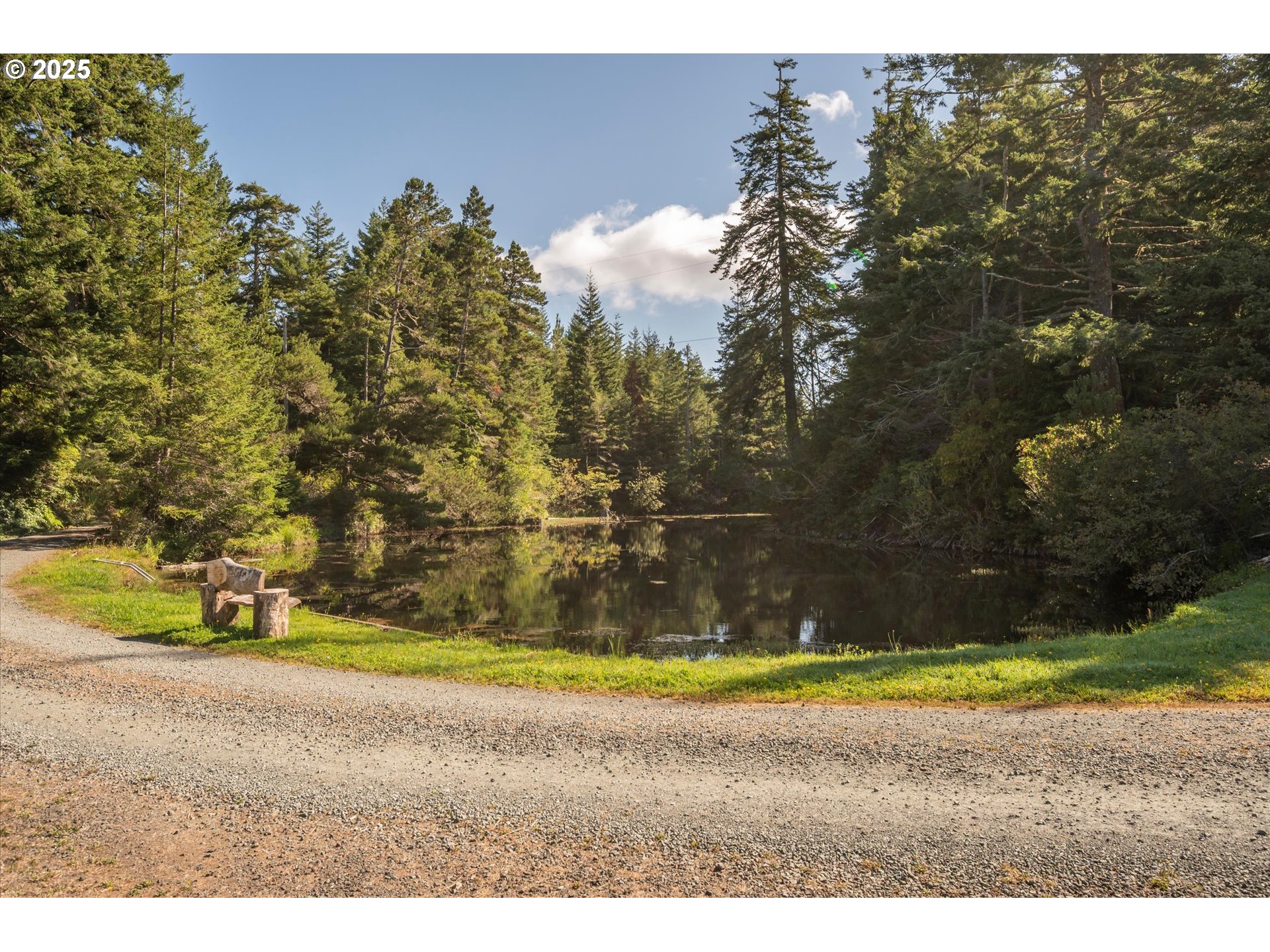 56060 Wheeler Road Bandon, OR 97411 - Photo 28 of 43 a view of outdoor space with swimming pool