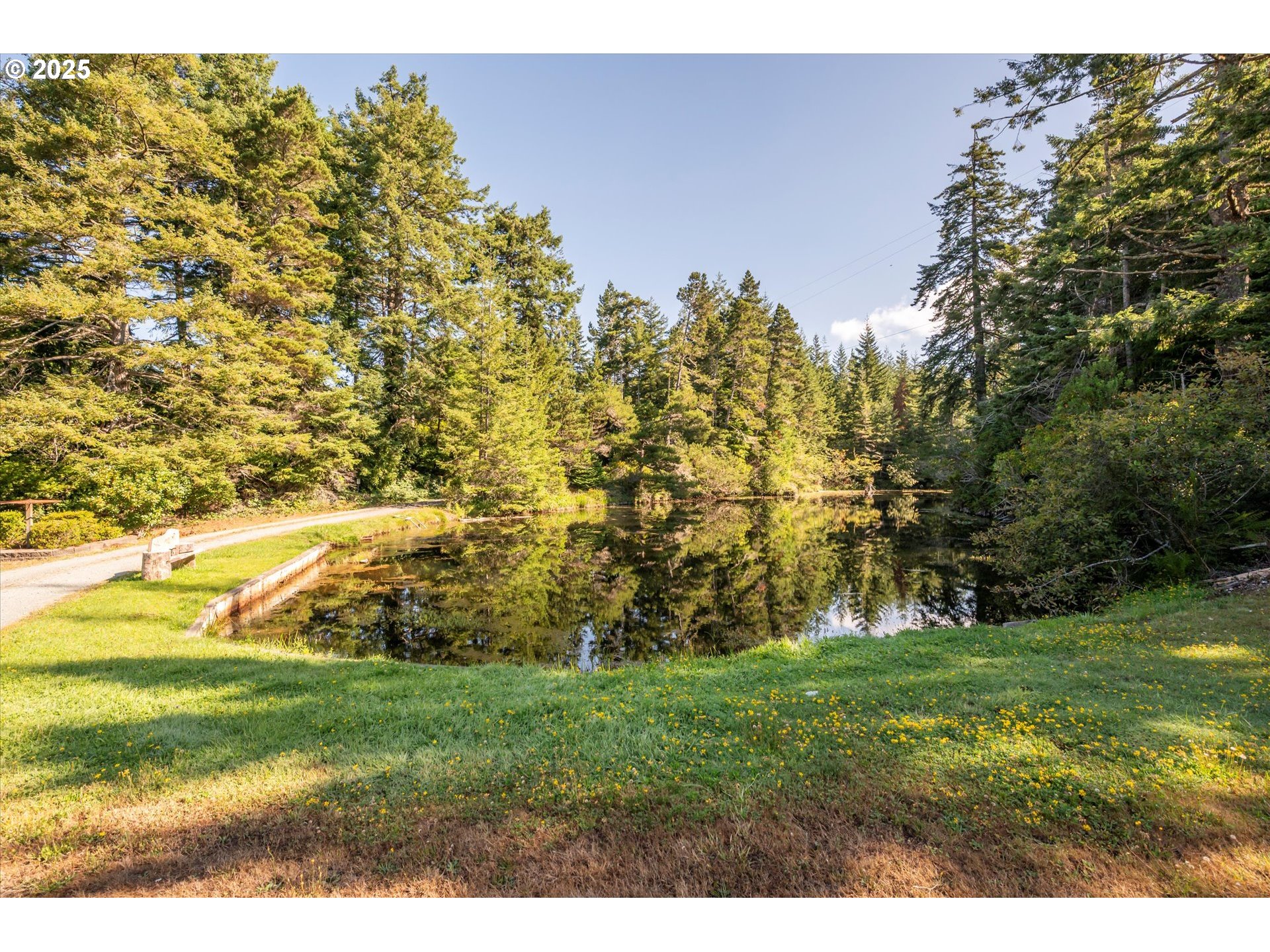 56060 Wheeler Road Bandon, OR 97411 - Photo 29 of 43 a view of a field with grass and trees