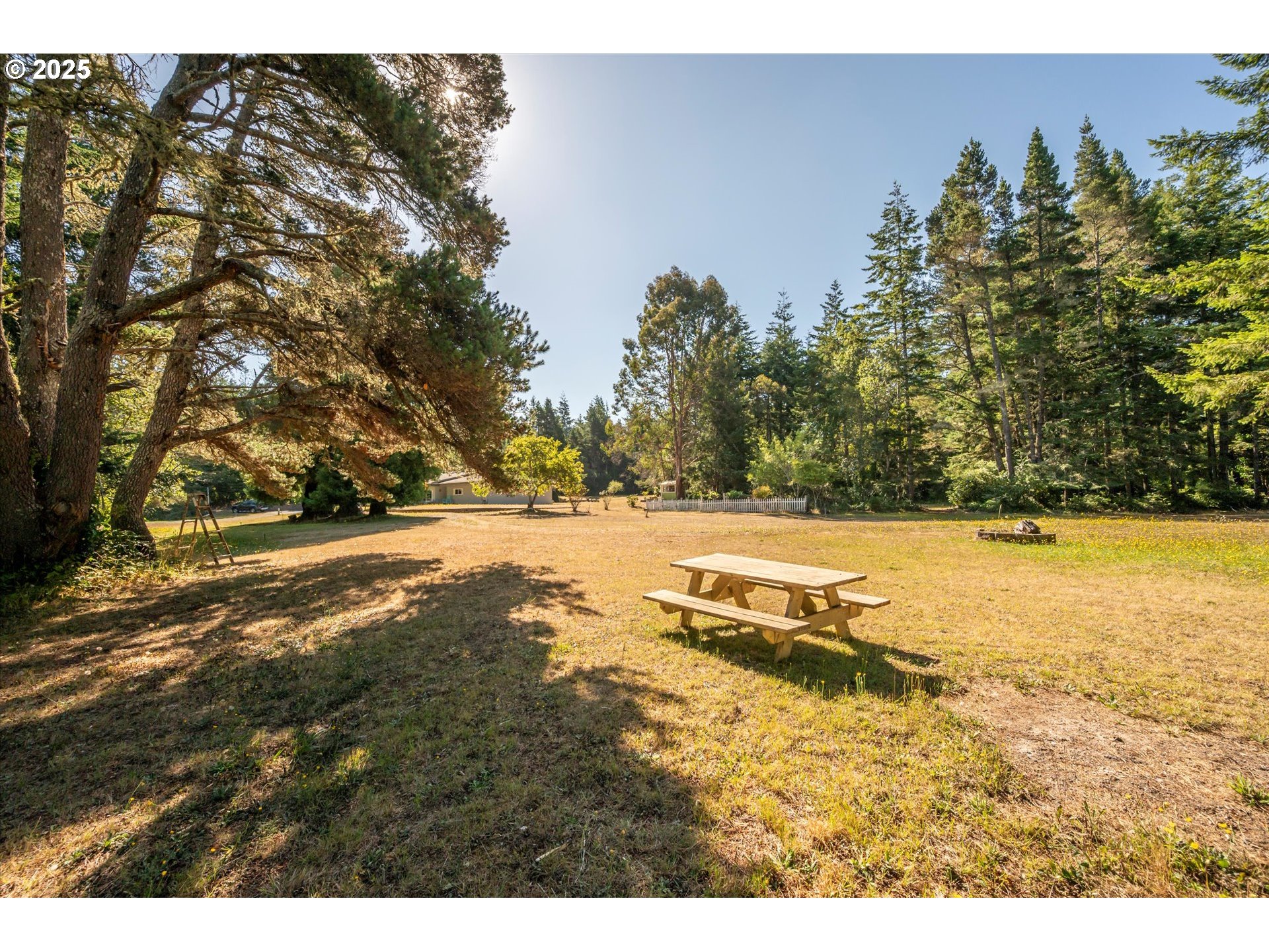 56060 Wheeler Road Bandon, OR 97411 - Photo 30 of 43 a view of a yard with an outdoor space