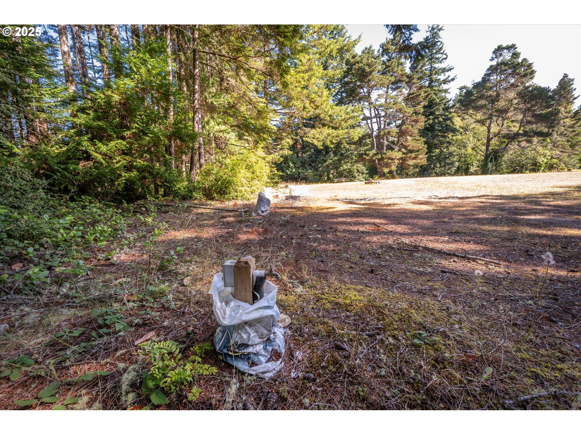 56060 Wheeler Road Bandon, OR 97411 - Photo 35 of 43 a view of outdoor space and yard