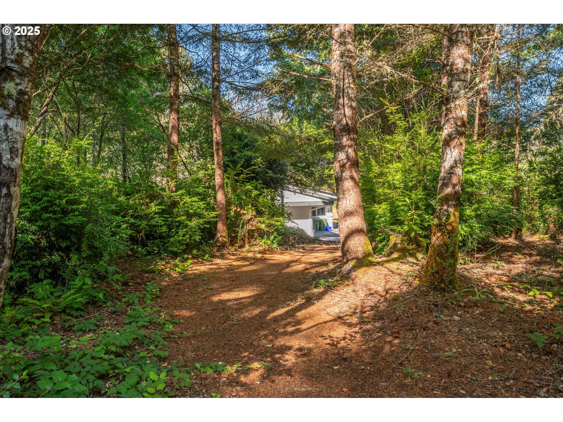 56060 Wheeler Road Bandon, OR 97411 - Photo 37 of 43 a view of a yard with plants and large trees