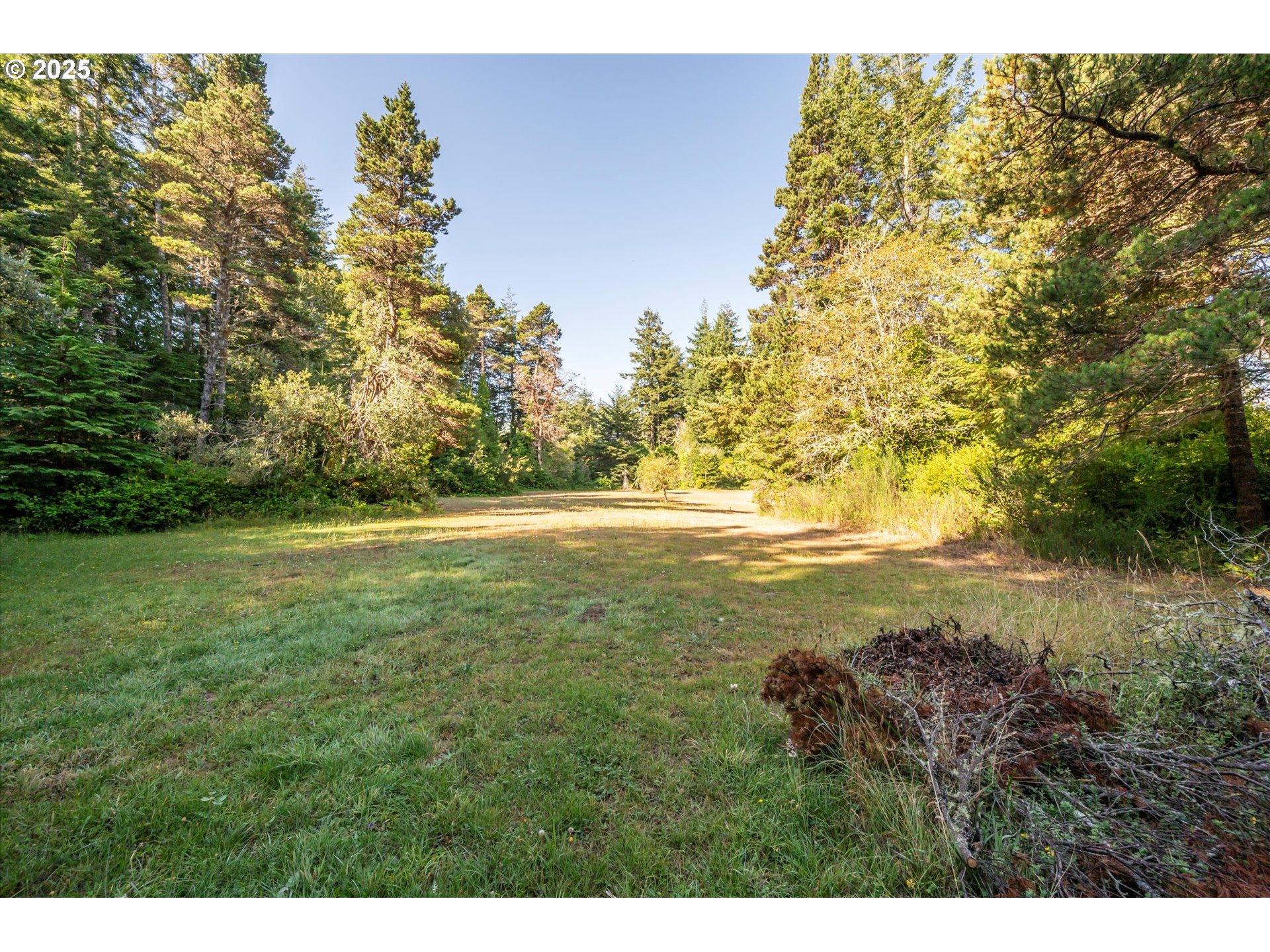 56060 Wheeler Road Bandon, OR 97411 - Photo 38 of 43 a view of an outdoor space and a yard