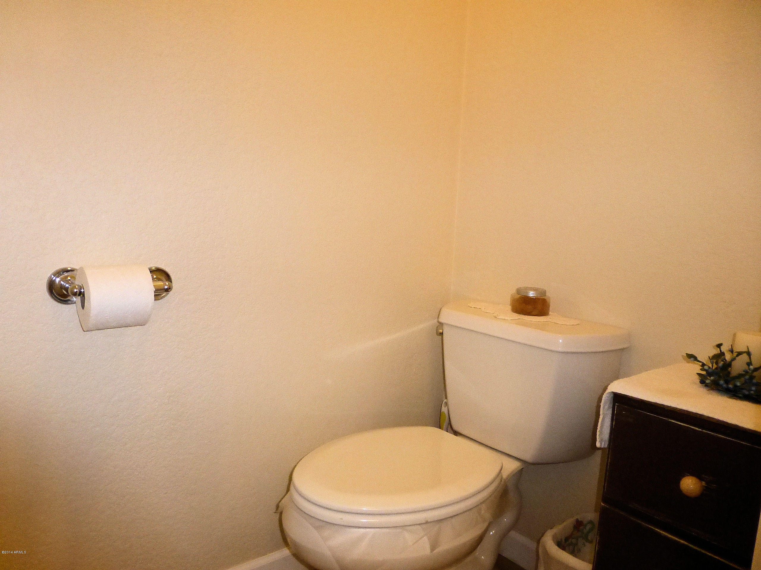 4280 North Arizona Road Apache Junction, AZ 85119 - Photo 15 of 48 Master Bathroom