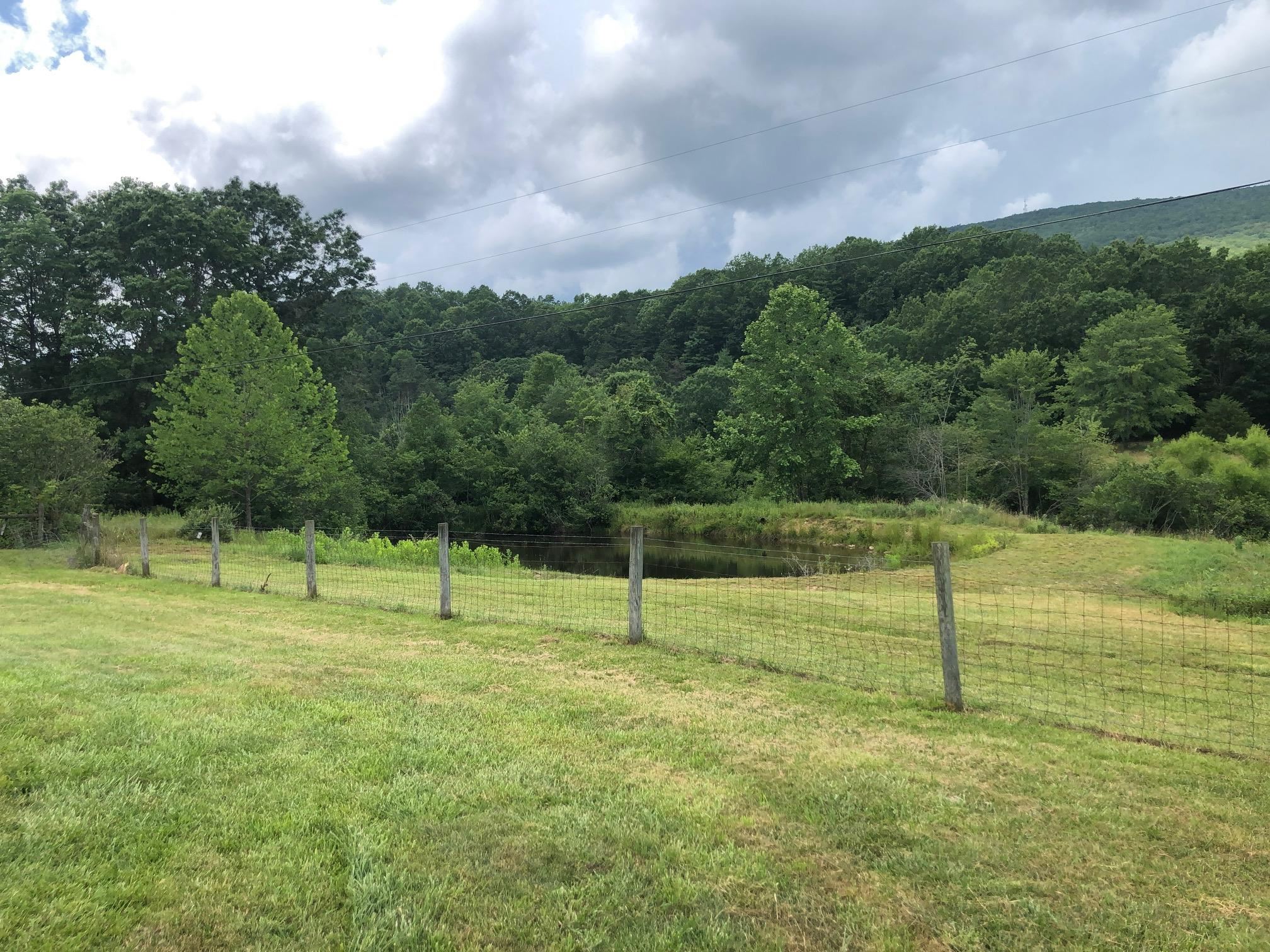 6249 Muddy Run Road Williamsville, VA 24487 - Photo 5 of 19 Gallery Image 5
