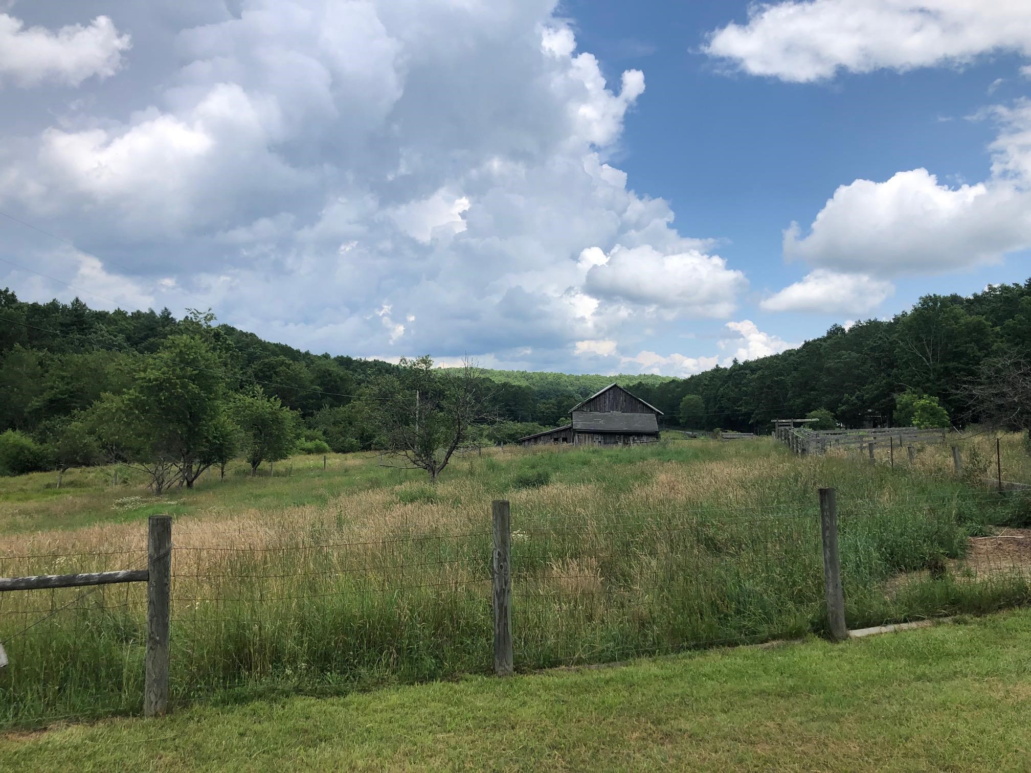 6249 Muddy Run Road Williamsville, VA 24487 - Photo 6 of 19 Gallery Image 6