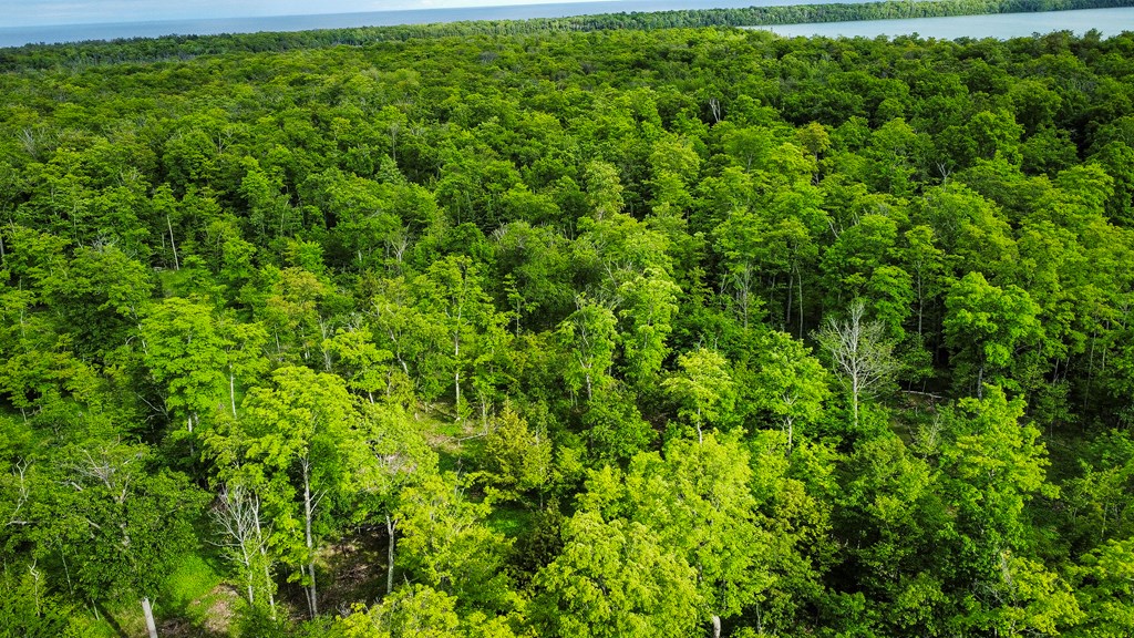 Tbd Lot3 Isle View Road Ellison Bay, WI 54210 - Photo 20 of 25 Gallery Image 20