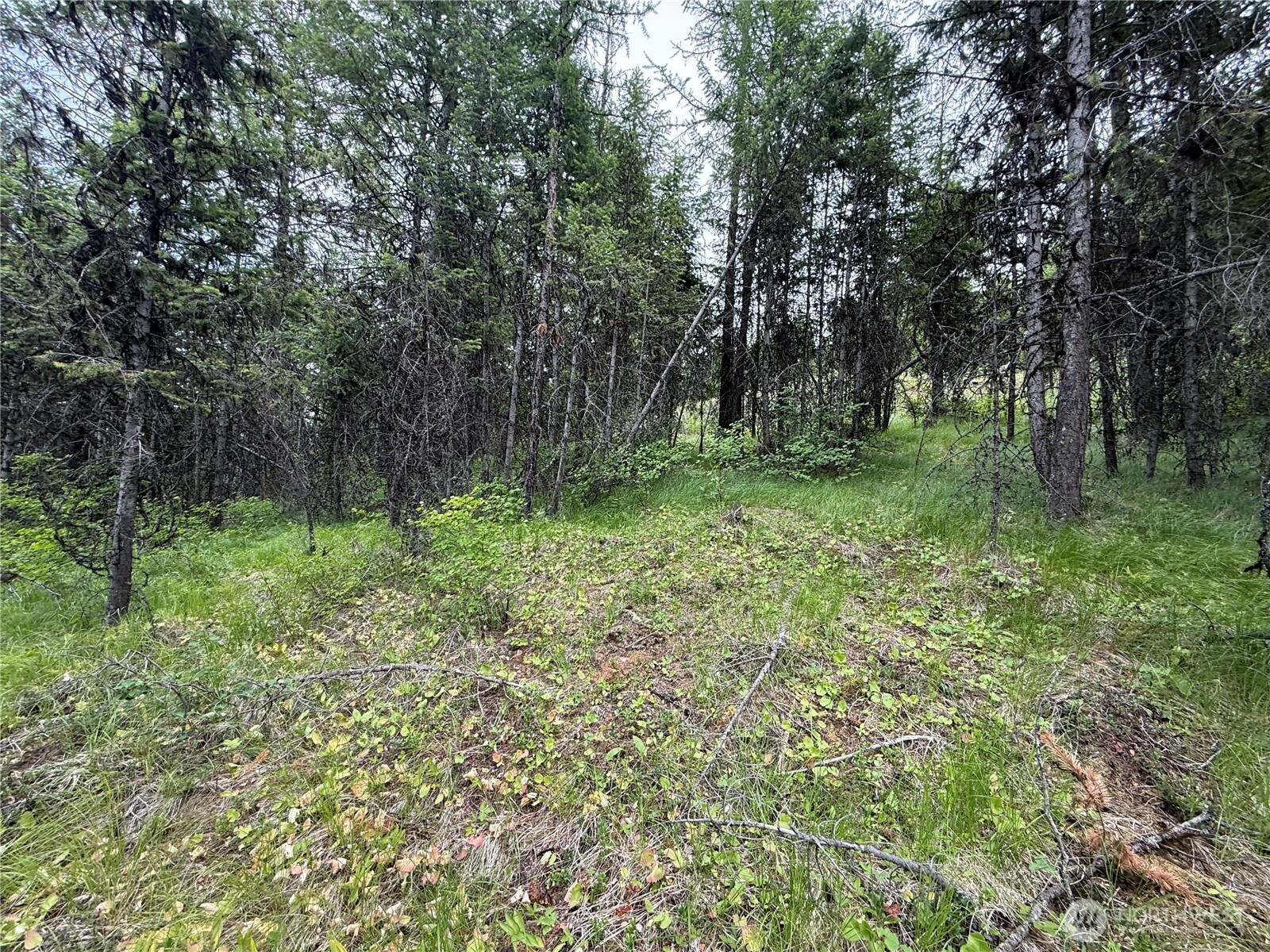 0 Mule Deer Road Republic, WA 99166 - Photo 2 of 20