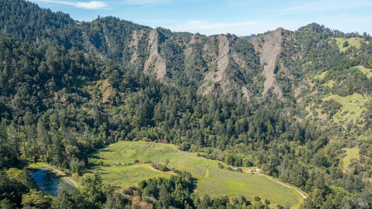 24301 King Ridge Road Cazadero, CA 95421 - Photo 2 of 89