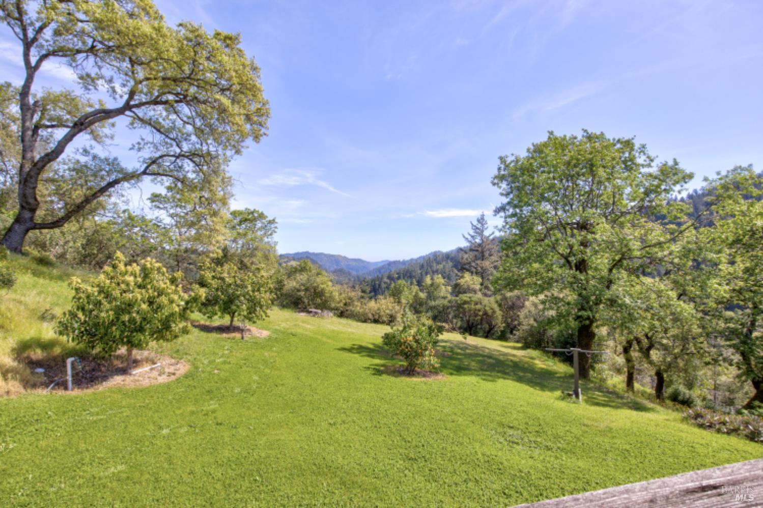 24301 King Ridge Road Cazadero, CA 95421 - Photo 32 of 89