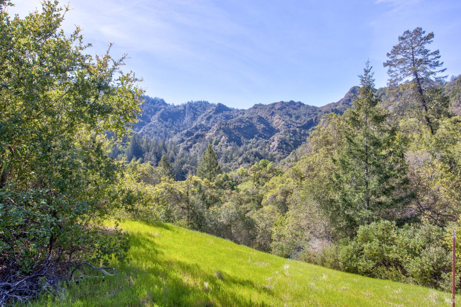 24301 King Ridge Road Cazadero, CA 95421 - Photo 54 of 89