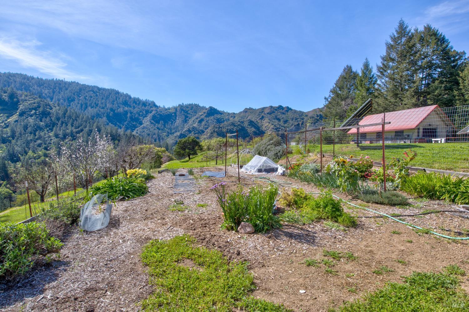 24301 King Ridge Road Cazadero, CA 95421 - Photo 56 of 89