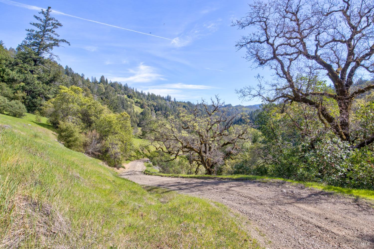 24301 King Ridge Road Cazadero, CA 95421 - Photo 58 of 89