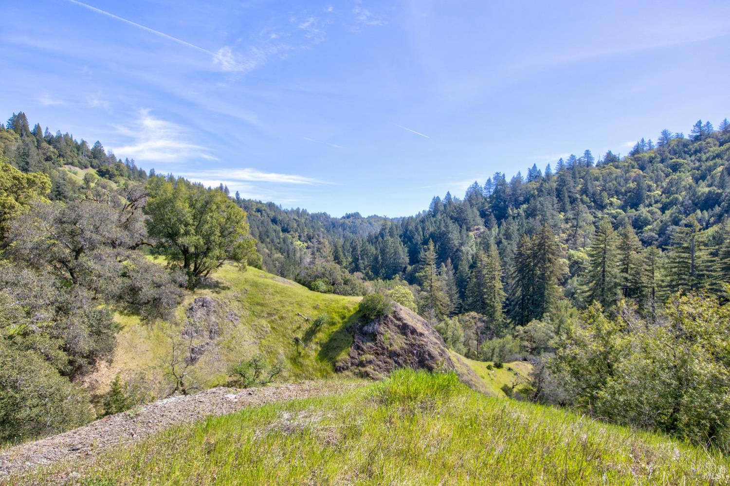 24301 King Ridge Road Cazadero, CA 95421 - Photo 59 of 89