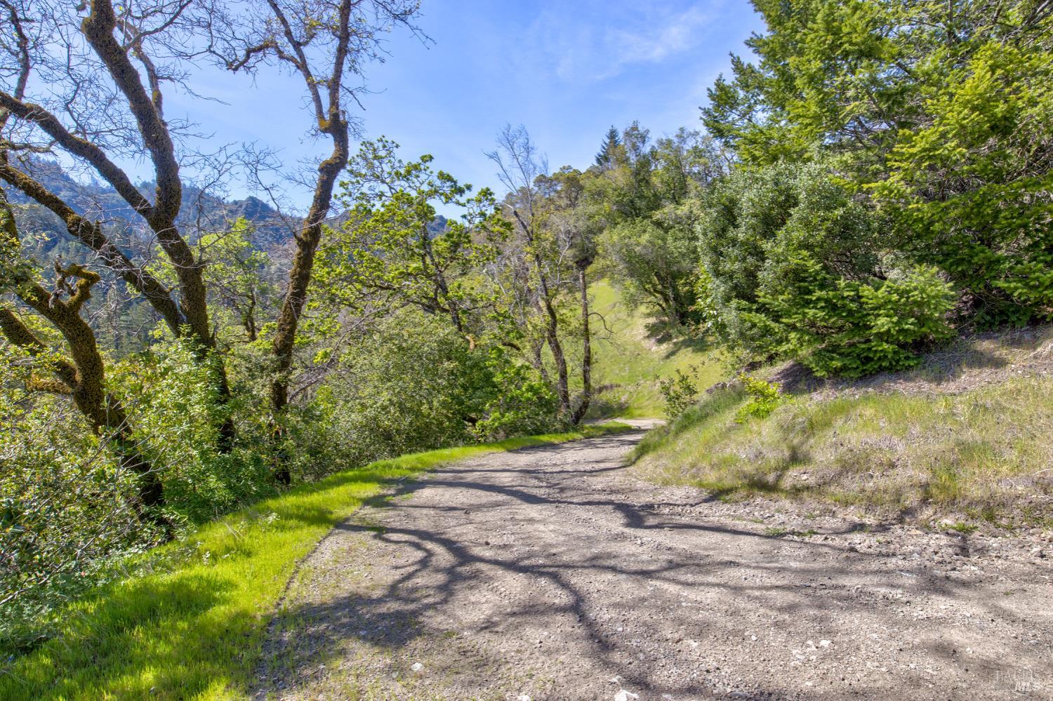 24301 King Ridge Road Cazadero, CA 95421 - Photo 60 of 89