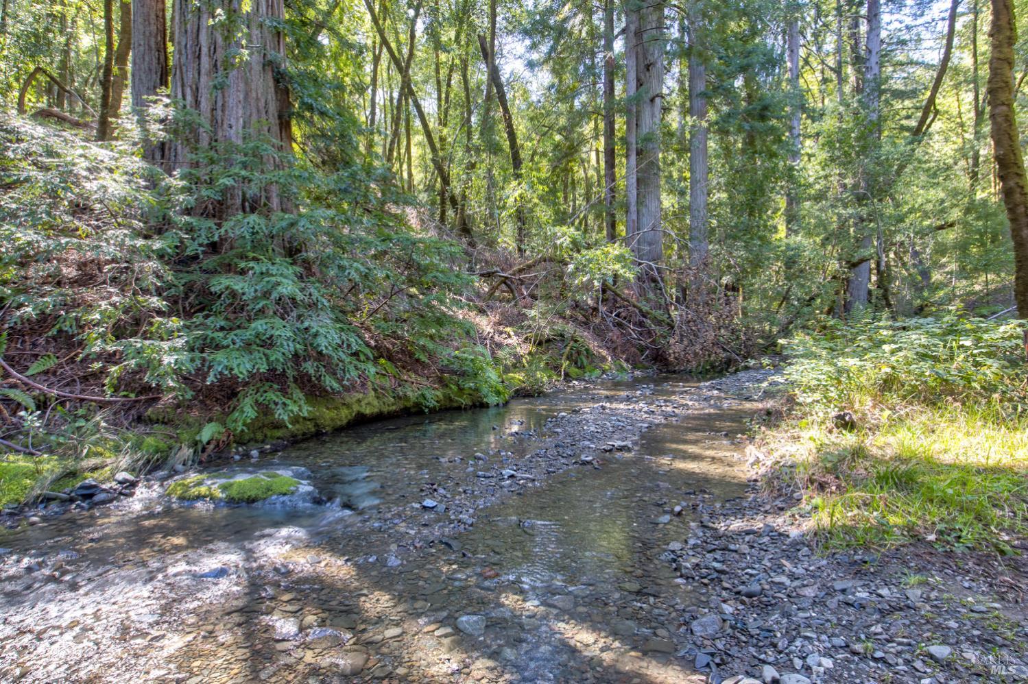 24301 King Ridge Road Cazadero, CA 95421 - Photo 61 of 89