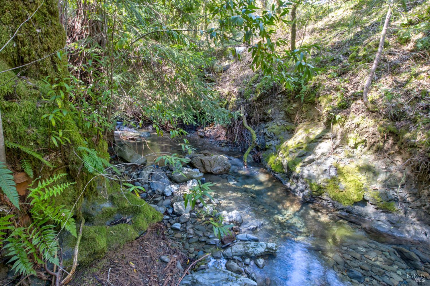 24301 King Ridge Road Cazadero, CA 95421 - Photo 64 of 89