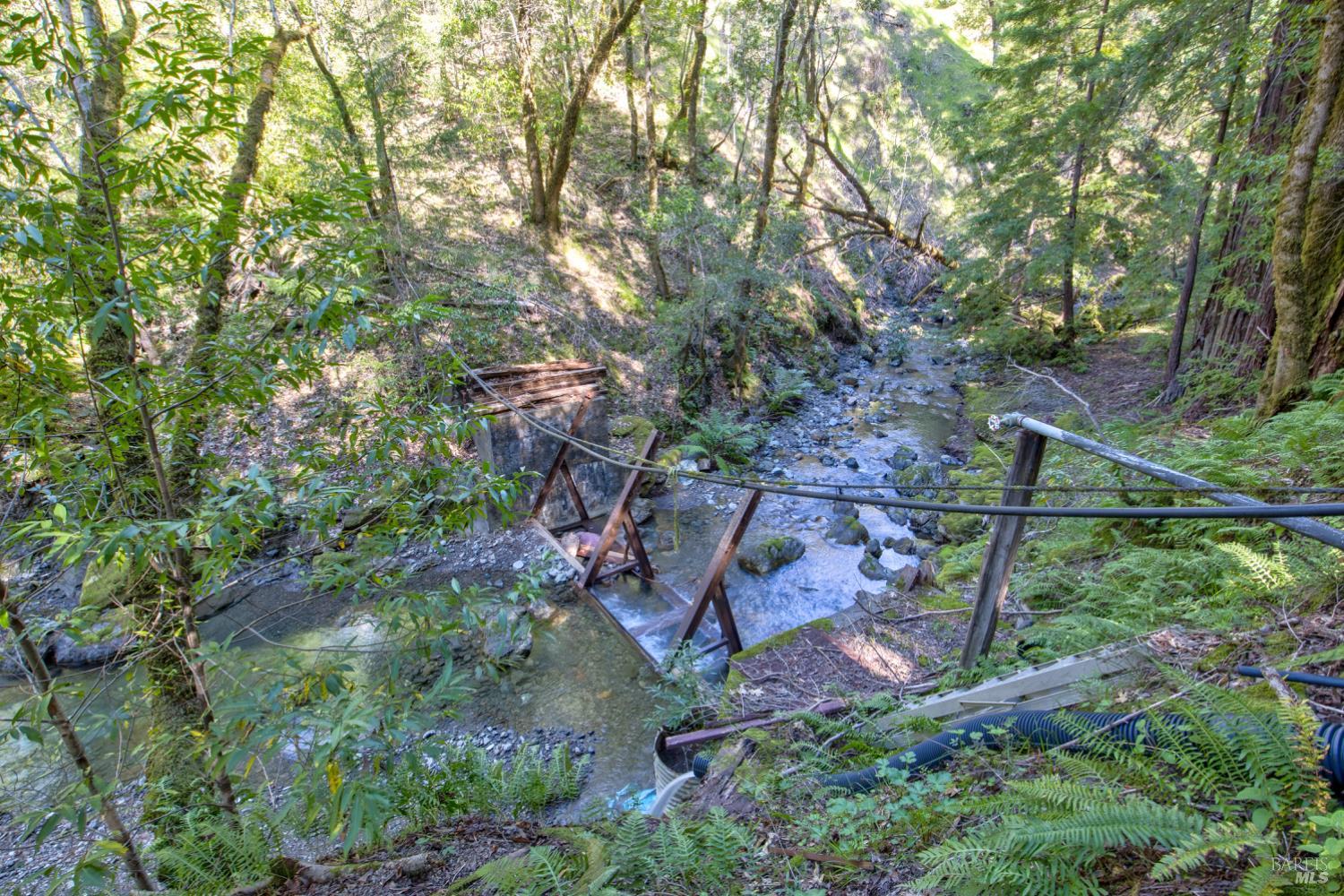 24301 King Ridge Road Cazadero, CA 95421 - Photo 66 of 89