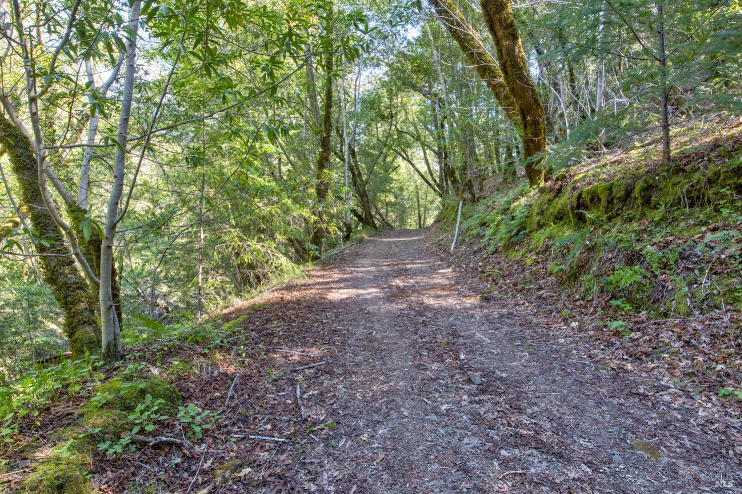 24301 King Ridge Road Cazadero, CA 95421 - Photo 69 of 89