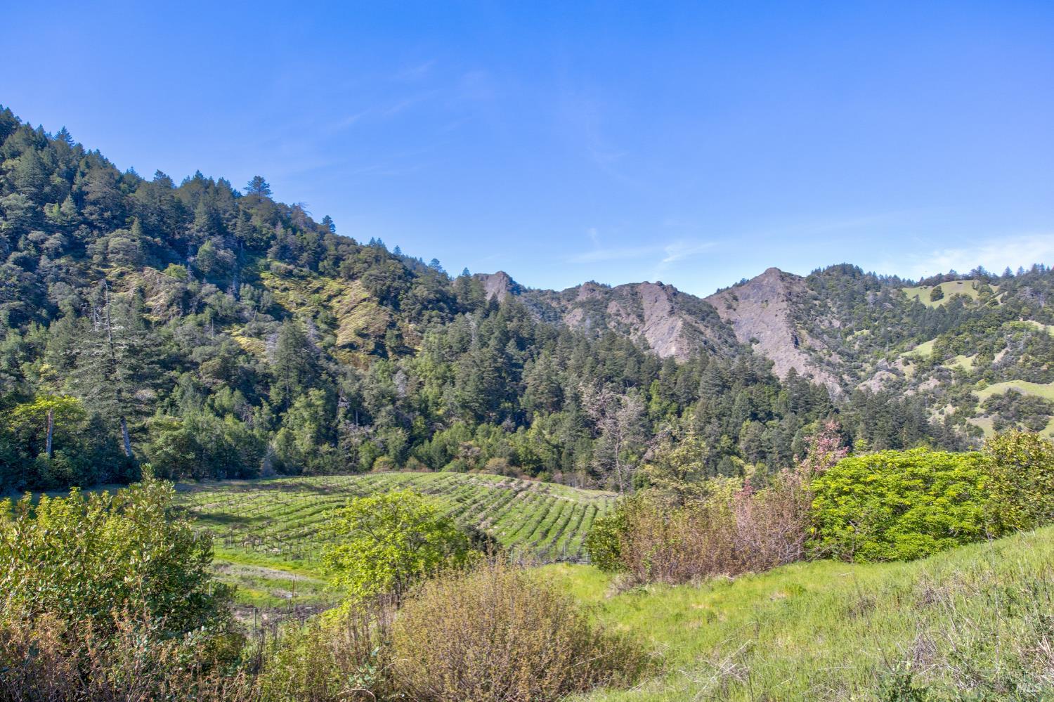24301 King Ridge Road Cazadero, CA 95421 - Photo 73 of 88