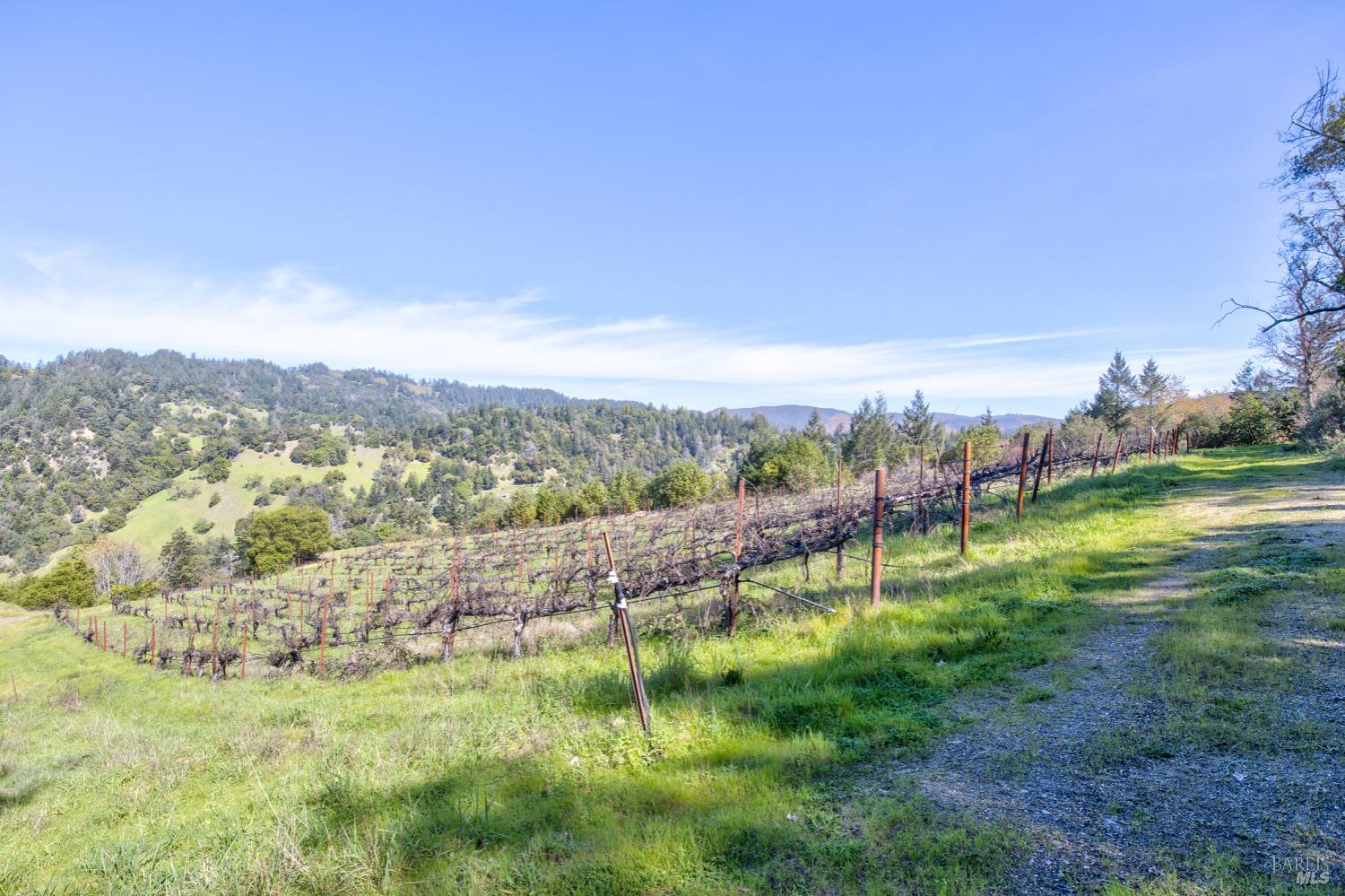 24301 King Ridge Road Cazadero, CA 95421 - Photo 75 of 89