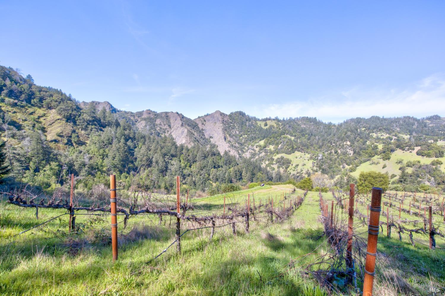 24301 King Ridge Road Cazadero, CA 95421 - Photo 76 of 89