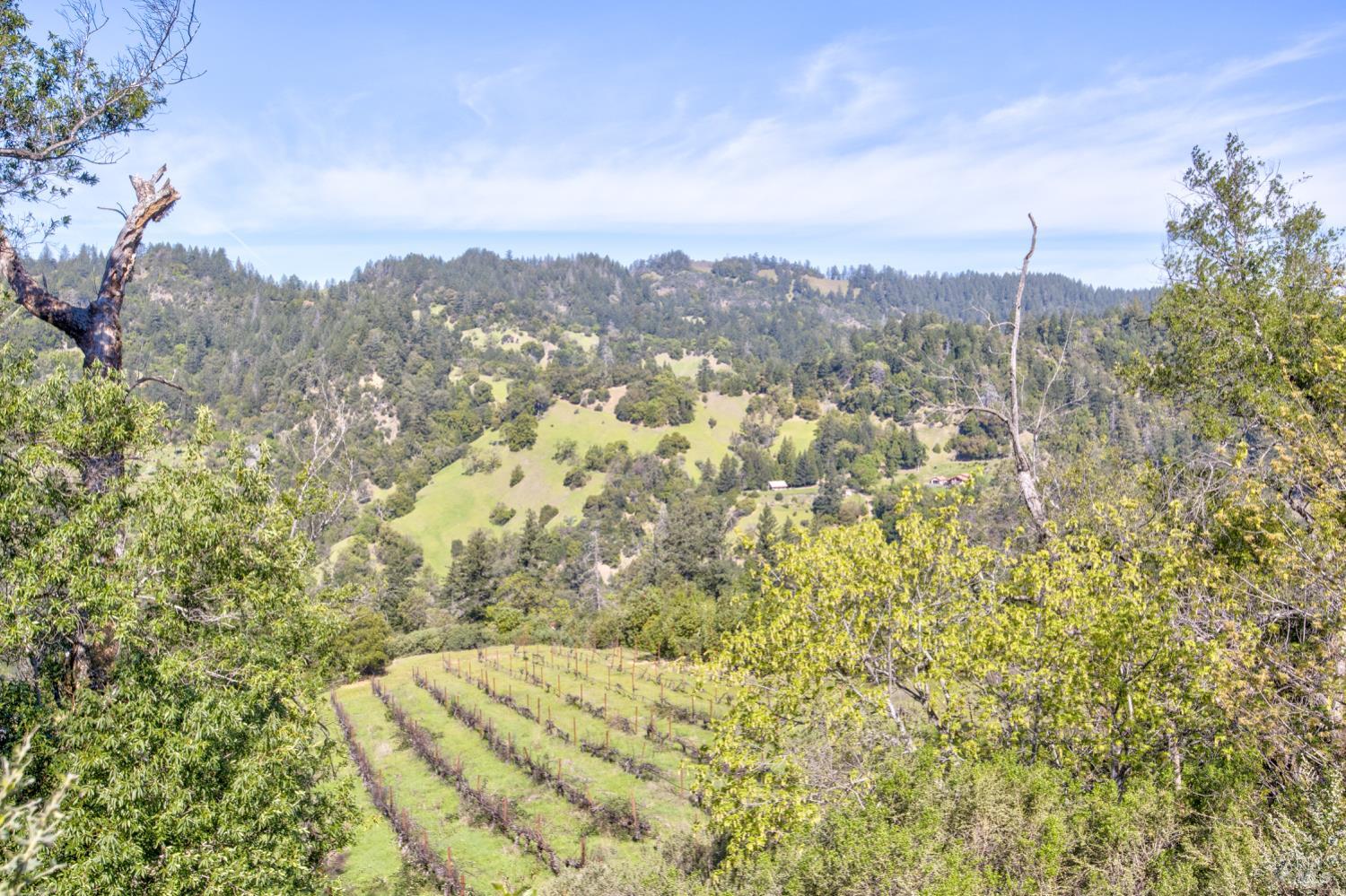 24301 King Ridge Road Cazadero, CA 95421 - Photo 77 of 89