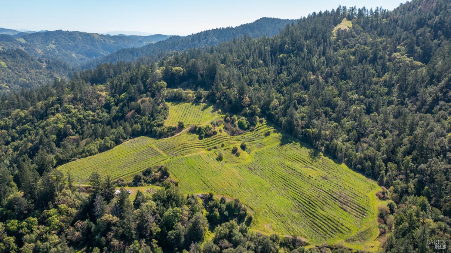 24301 King Ridge Road Cazadero, CA 95421 - Photo 83 of 89
