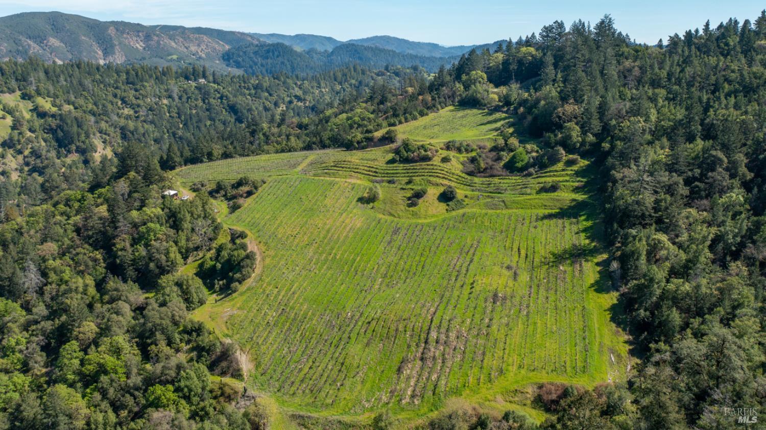 24301 King Ridge Road Cazadero, CA 95421 - Photo 84 of 89