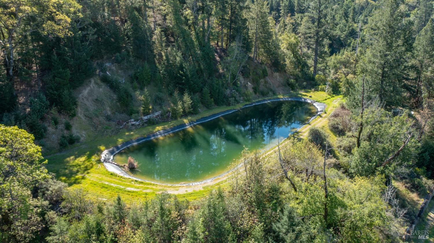 24301 King Ridge Road Cazadero, CA 95421 - Photo 86 of 89
