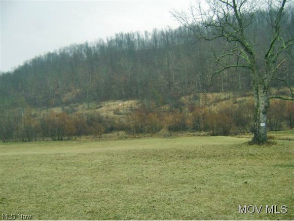 702 Peniel Road Reedy, WV 25270 - Photo 3 of 3