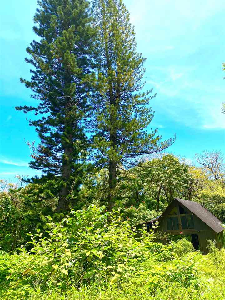 1330 Ulaino Road Hana, HI 96713 - Photo 12 of 18 a view of a garden