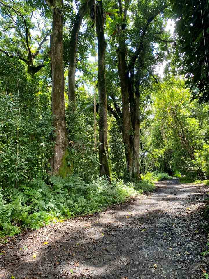 1330 Ulaino Road Hana, HI 96713 - Photo 5 of 18 a pathway of a yard