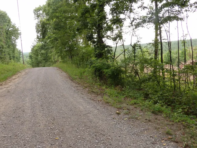 $54,900 | Lot 11 Hughes Cemetery Road, Evensville, TN 37332