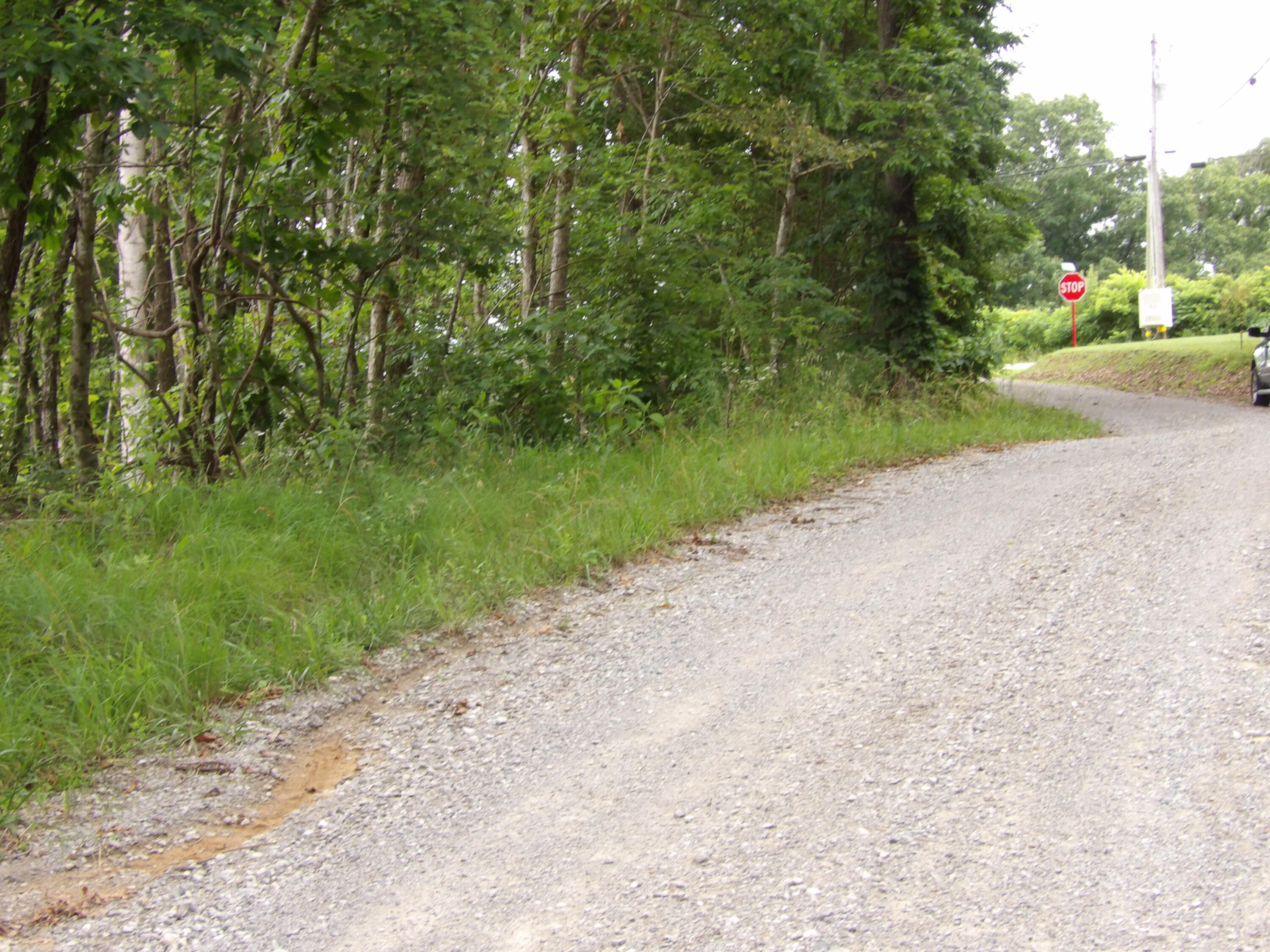 Lot 11 Hughes Road Evensville, TN 37332 - Photo 17 of 17 100_1623