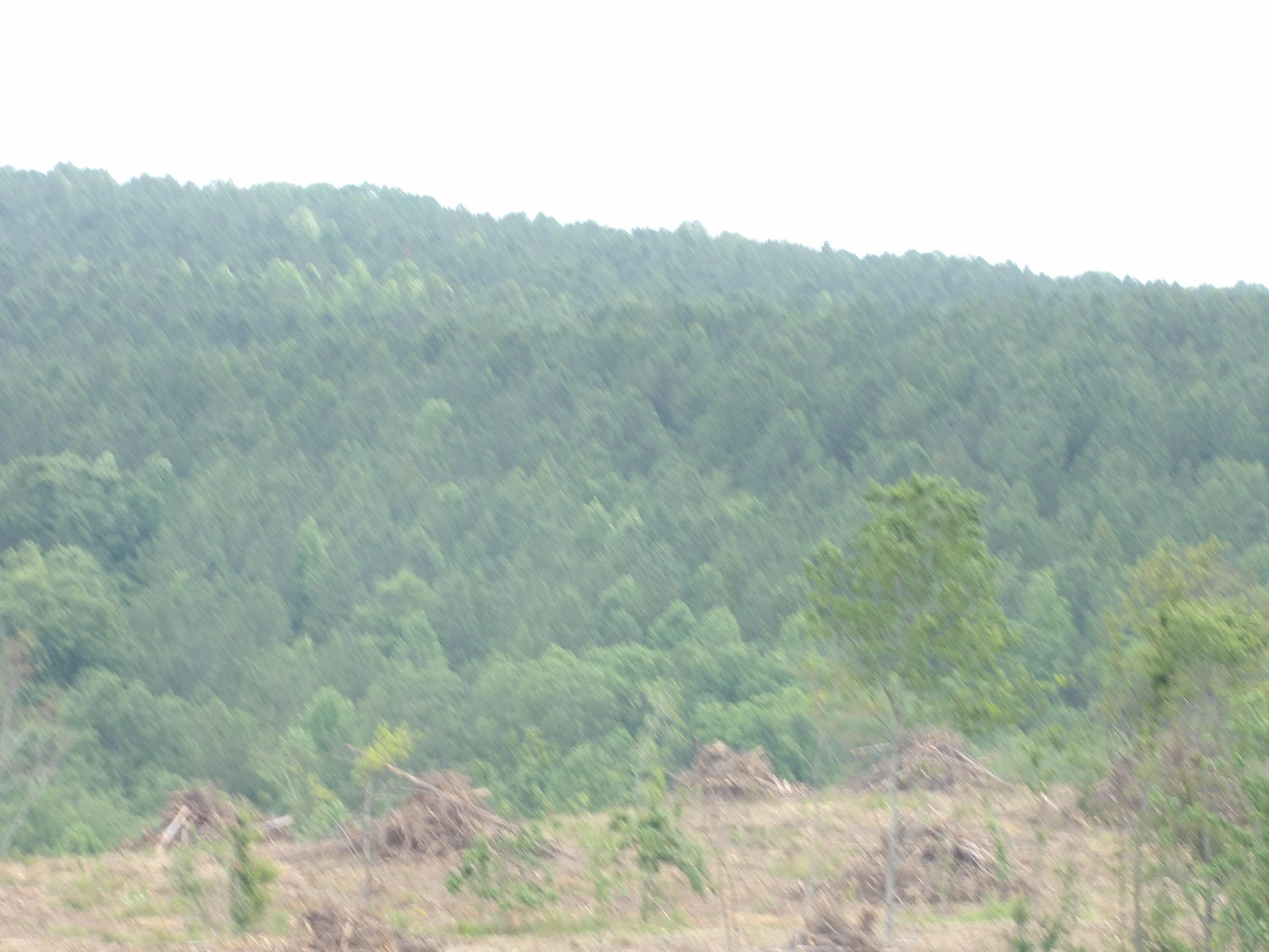 Lot 11 Hughes Road Evensville, TN 37332 - Photo 6 of 17 100_1619