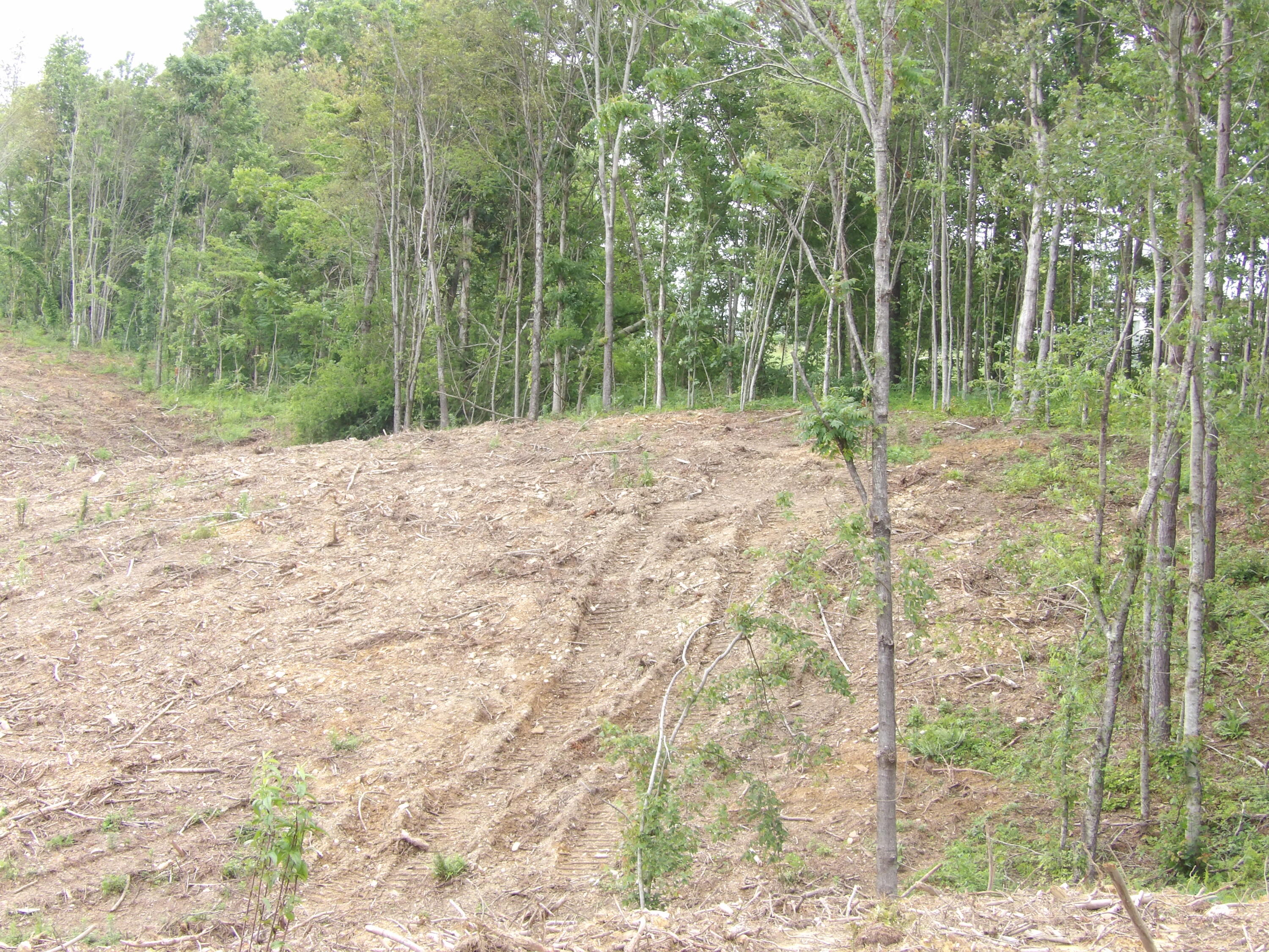 Lot 11 Hughes Road Evensville, TN 37332 - Photo 8 of 17 100_1621