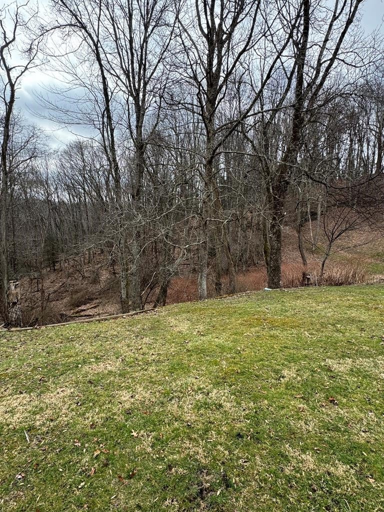 477-479 Abney Road Coal City, WV 25813 - Photo 5 of 33 Gallery Image 5