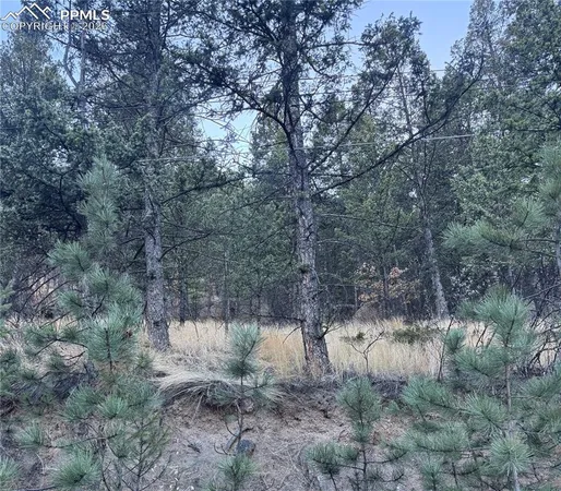 $60,000 | Lot 13 Harrison St Green Mountain Falls, Green Mountain Falls, CO 80819